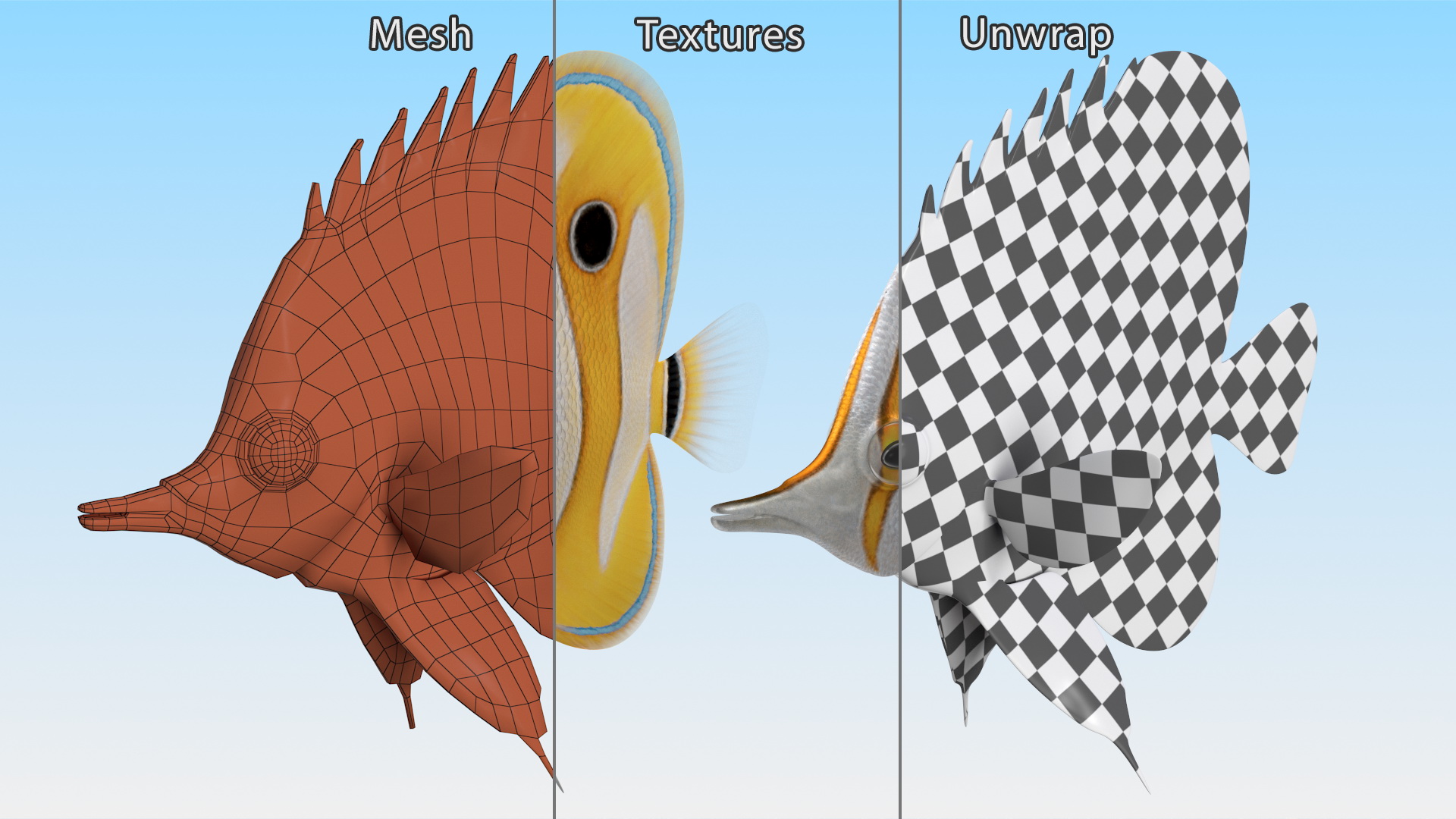 Copperband Butterflyfish 3D model