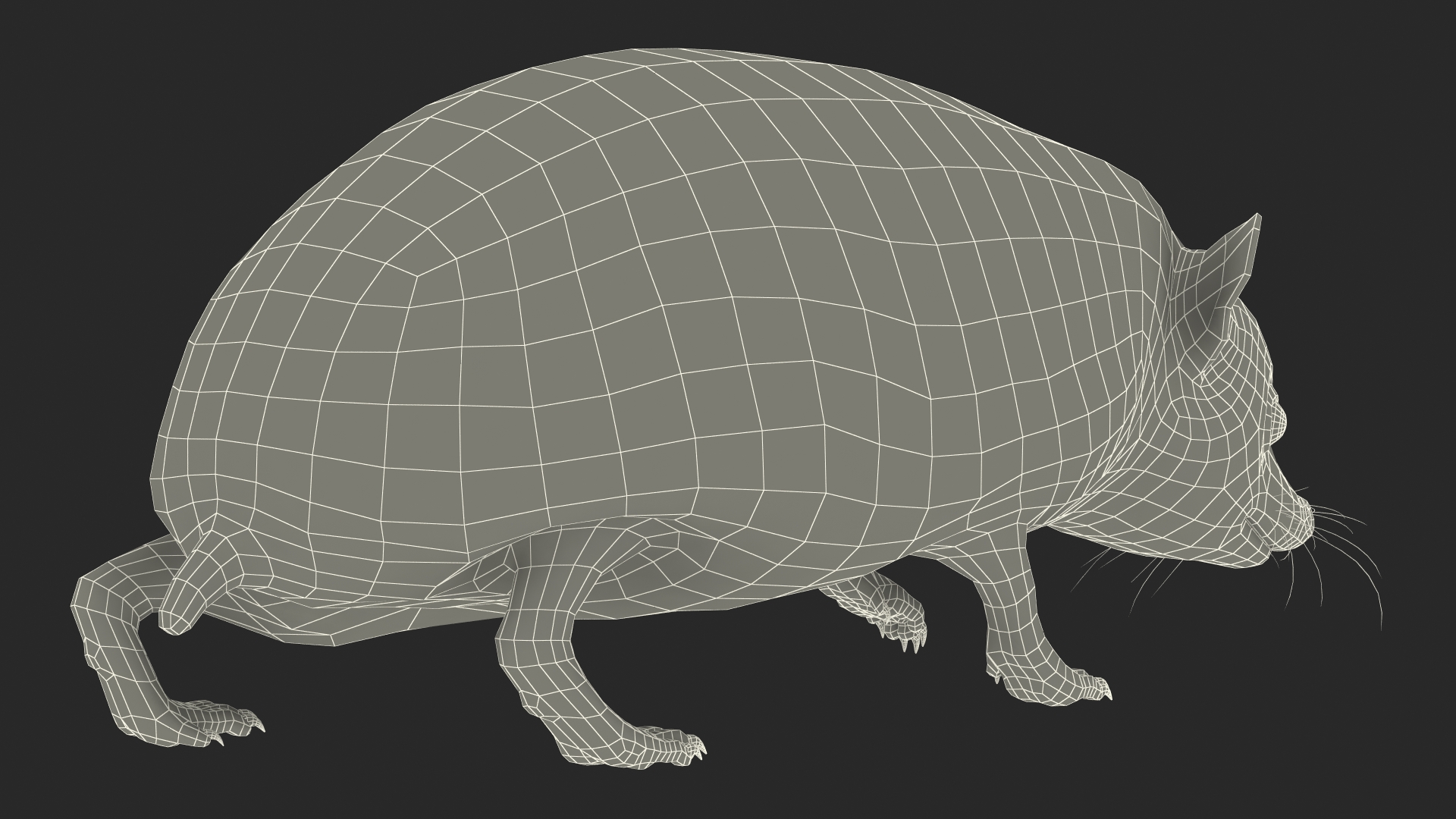 3D Walk Bald Hedgehog model