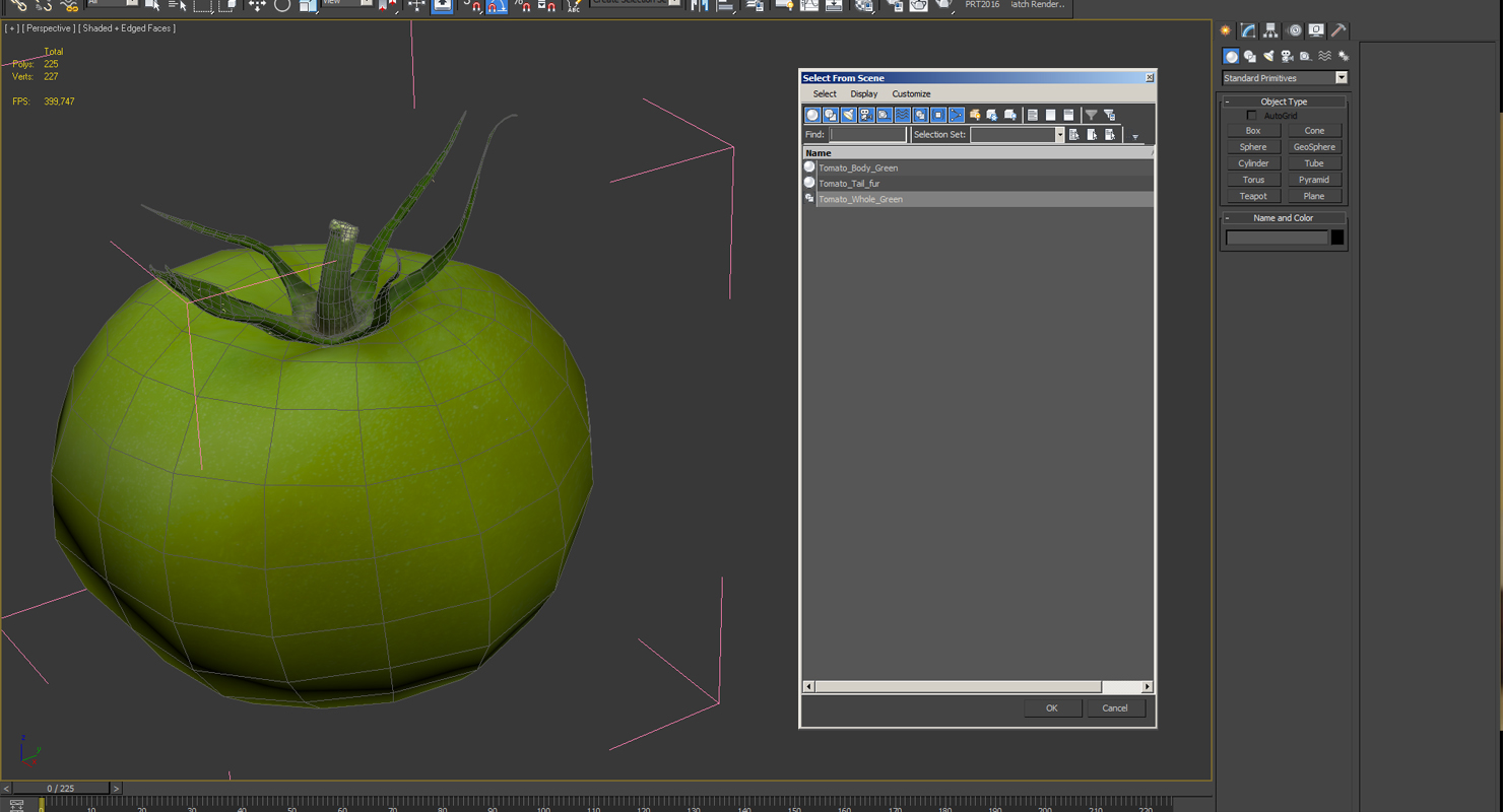 Green Tomato 3D