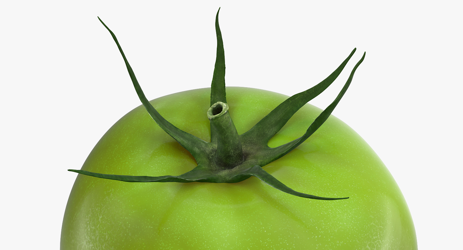 Green Tomato 3D