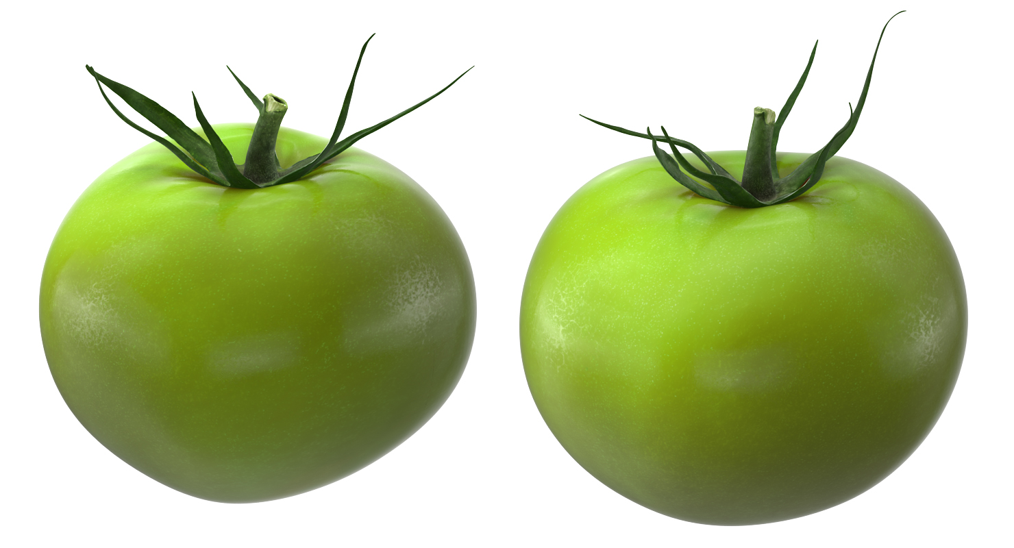 Green Tomato 3D