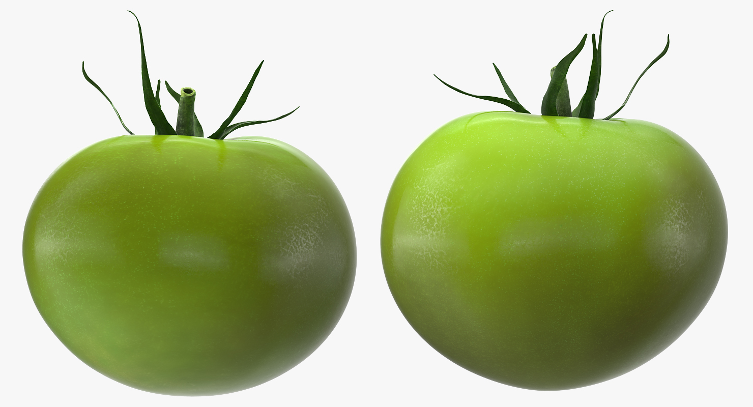 Green Tomato 3D