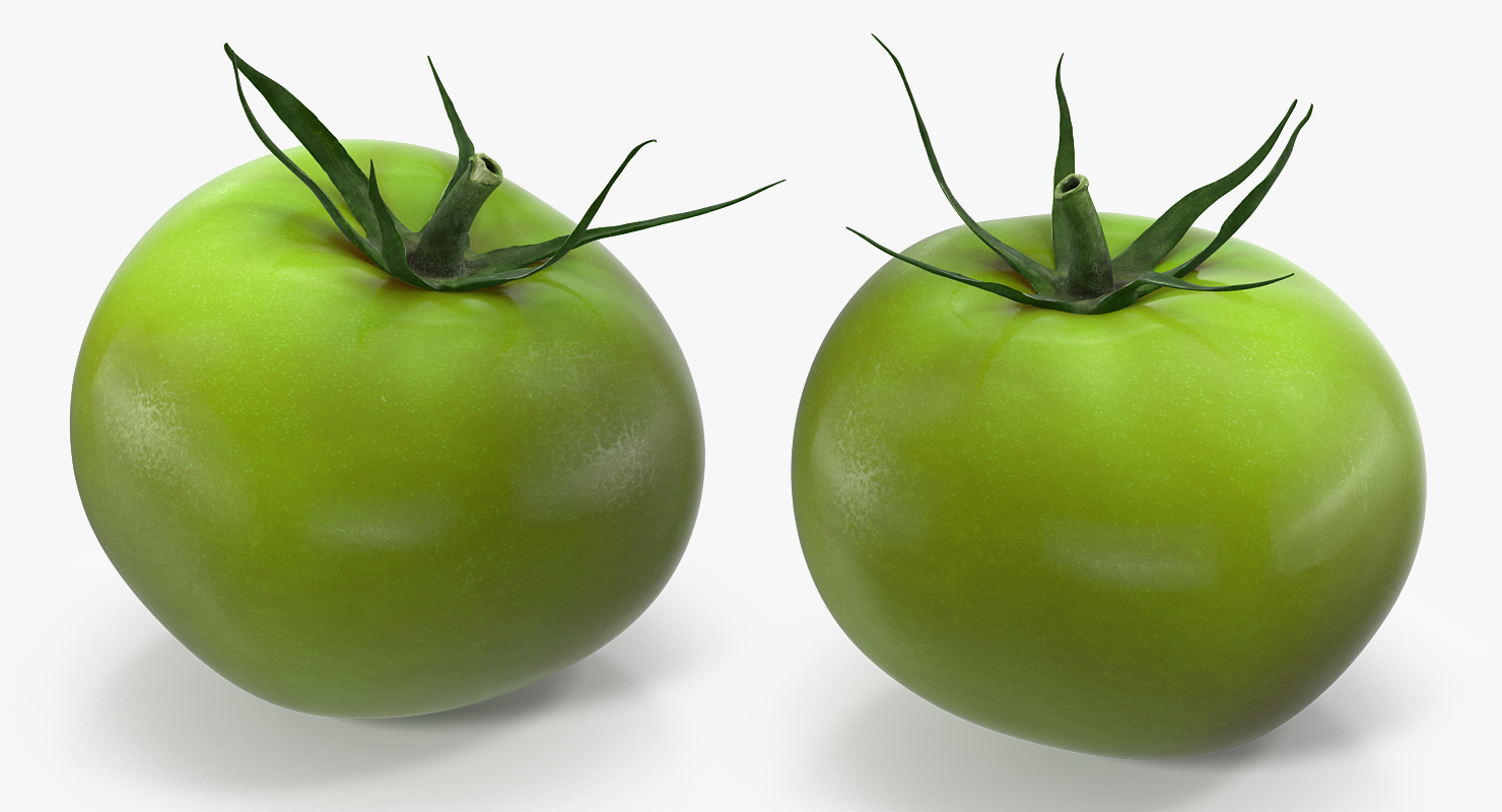 Green Tomato 3D