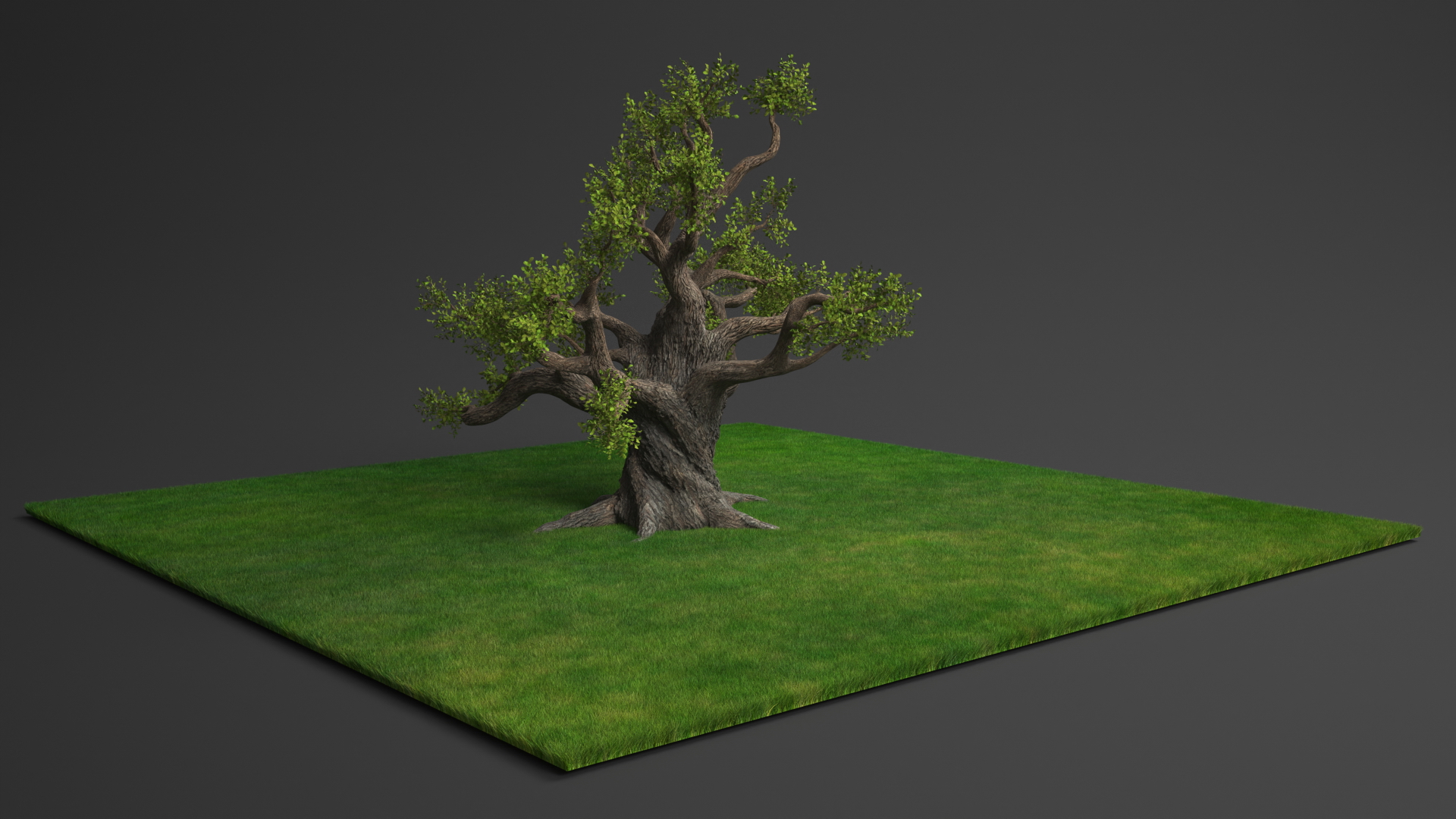 Ancient Twisted Oak Tree on Grass Fur 3D