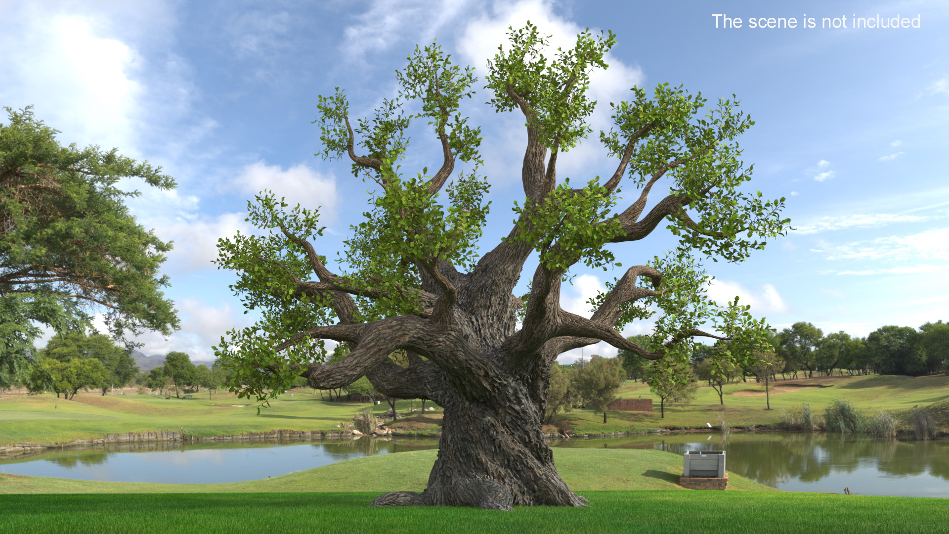 Ancient Twisted Oak Tree on Grass Fur 3D