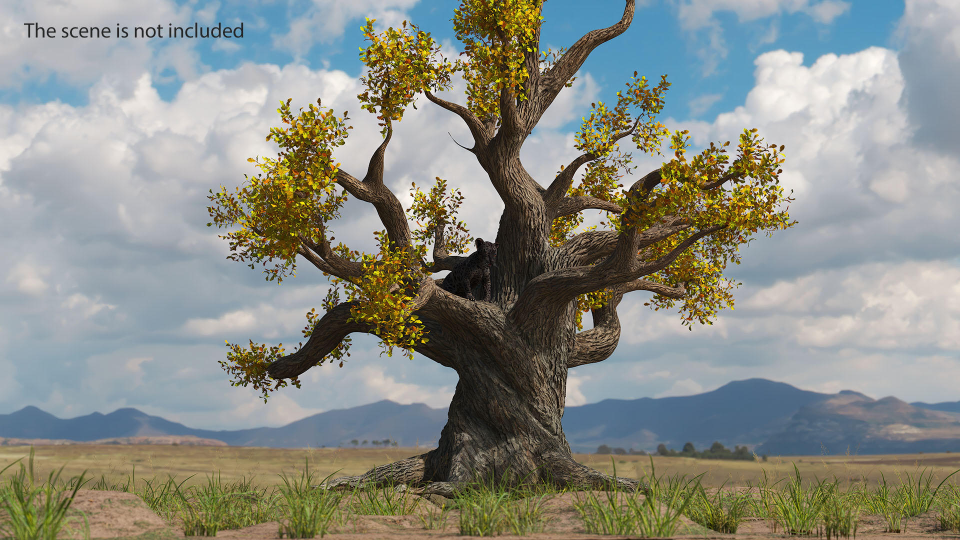 3D Black Leopard Cub on Ancient Twisted Tree