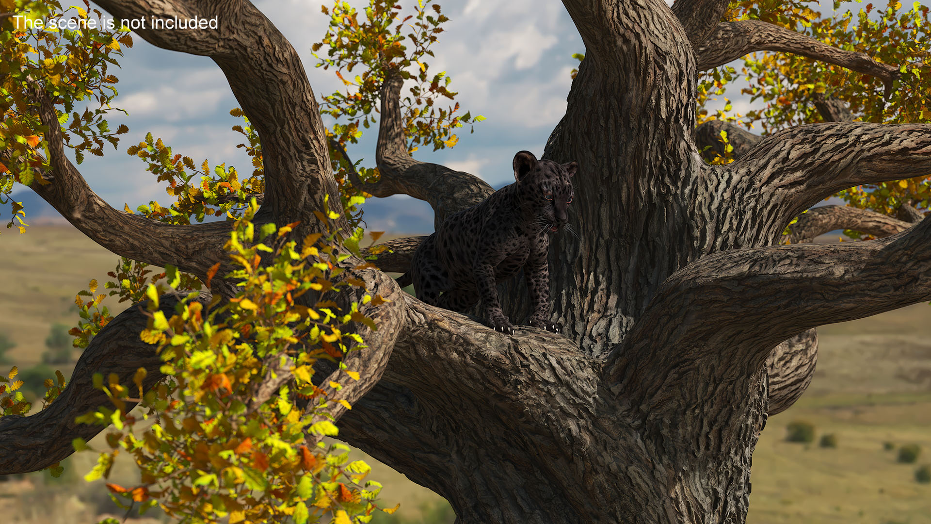 3D Black Leopard Cub on Ancient Twisted Tree