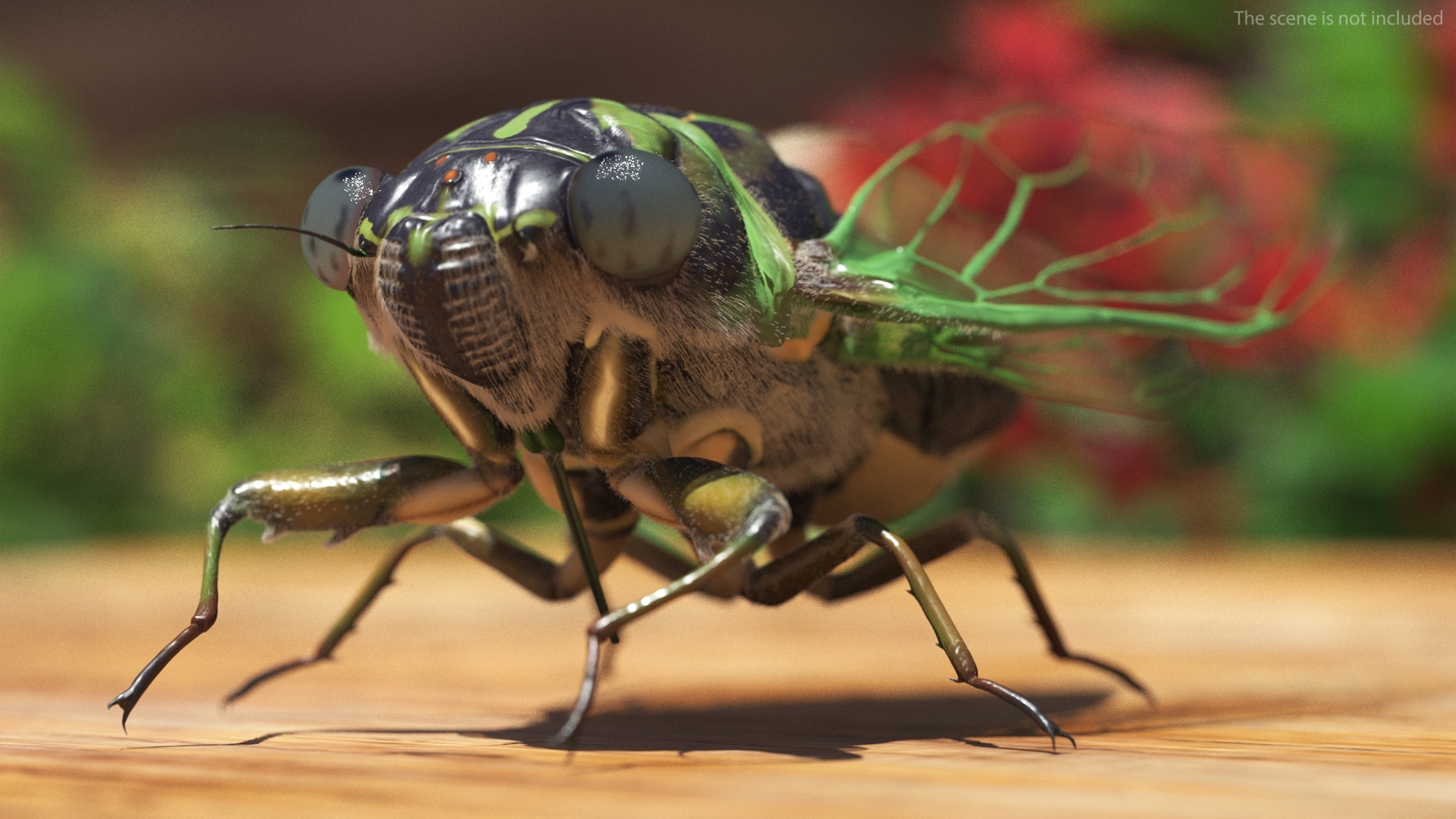 3D model Cicada Pose Calm Fur