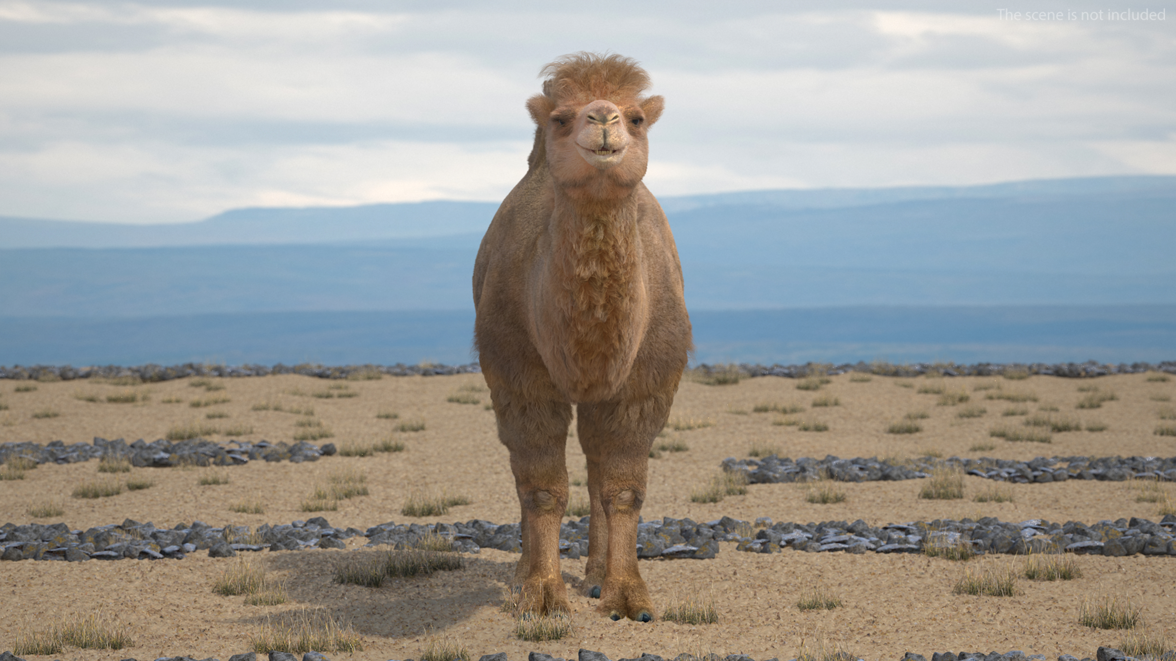 3D Bactrian Camel Fur model