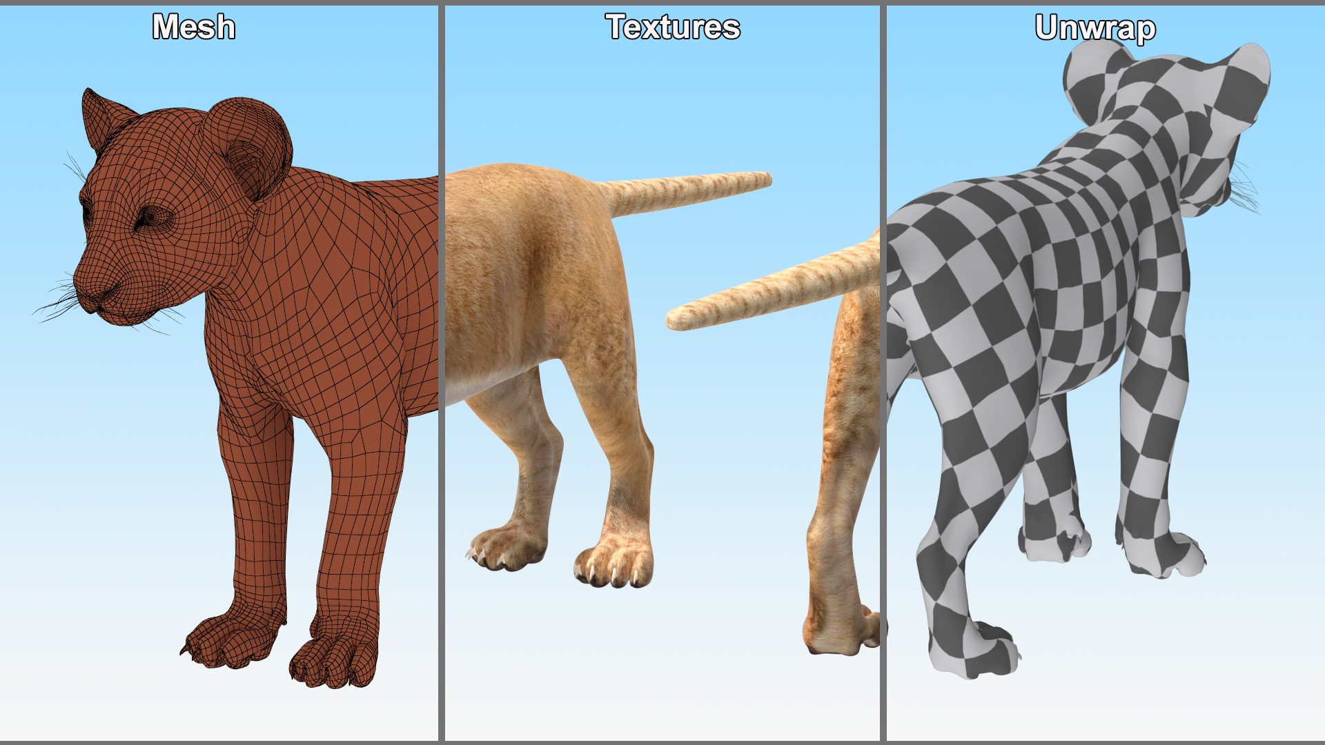 3D model Lion Cub