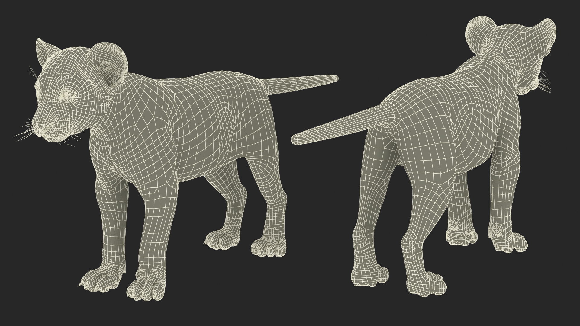 3D model Lion Cub