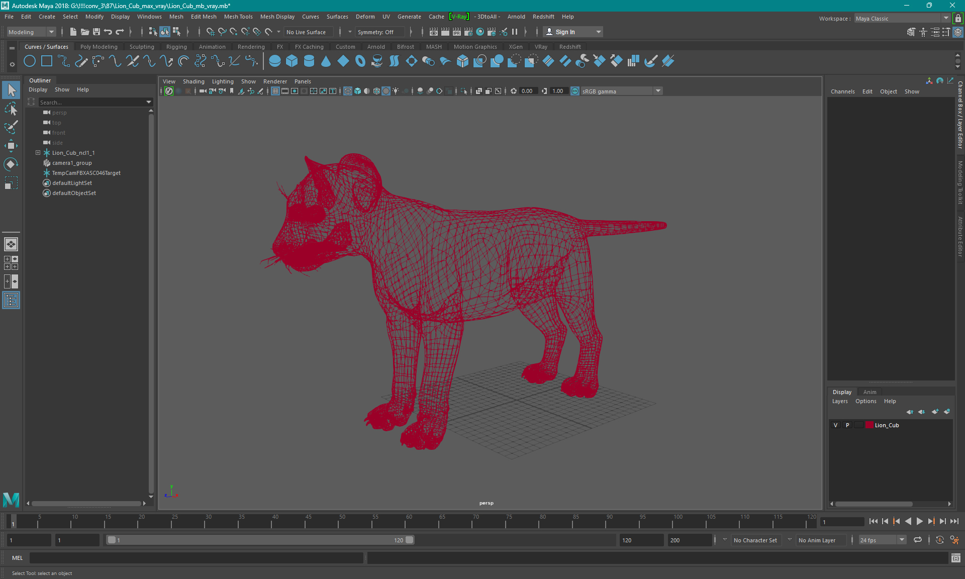 3D model Lion Cub