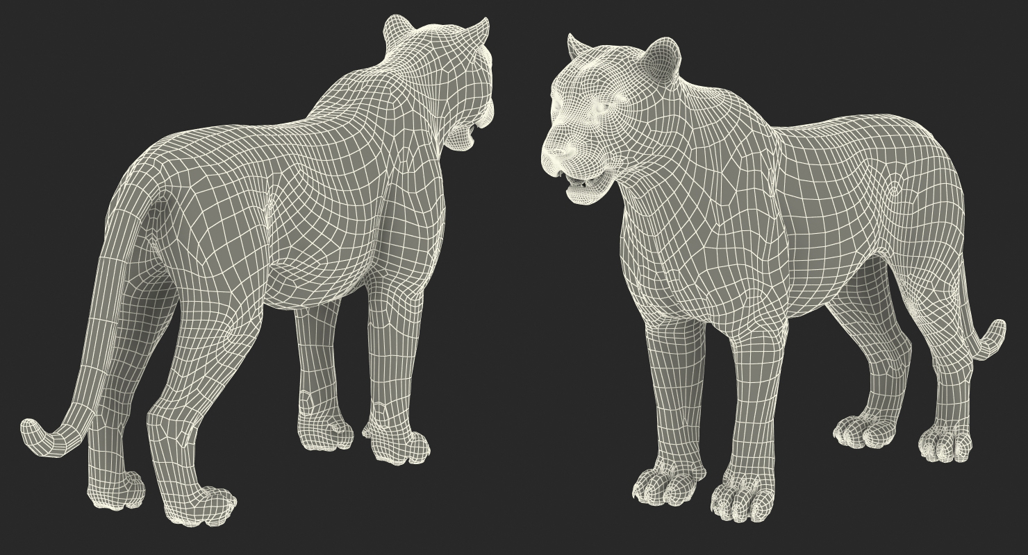 Tiger Rigged 3D