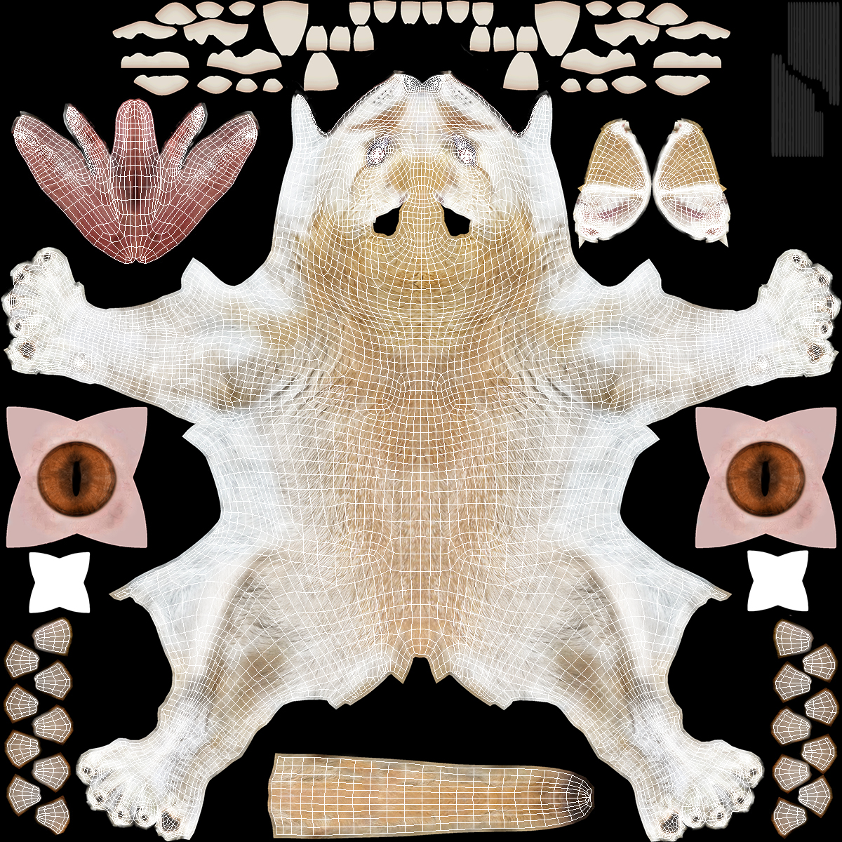 Fennec Fox Fur 3D model