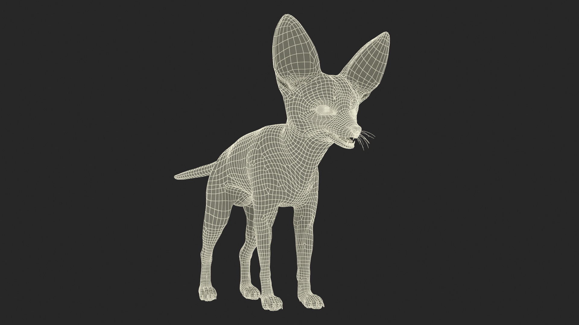 Fennec Fox Fur 3D model