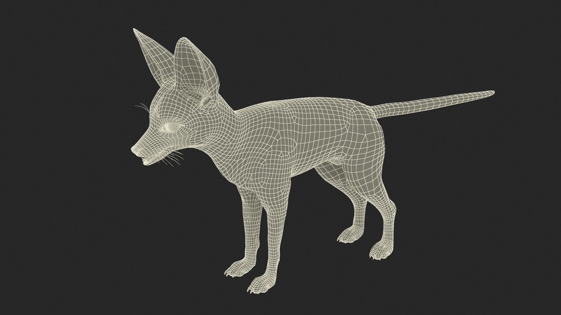 Fennec Fox Fur 3D model