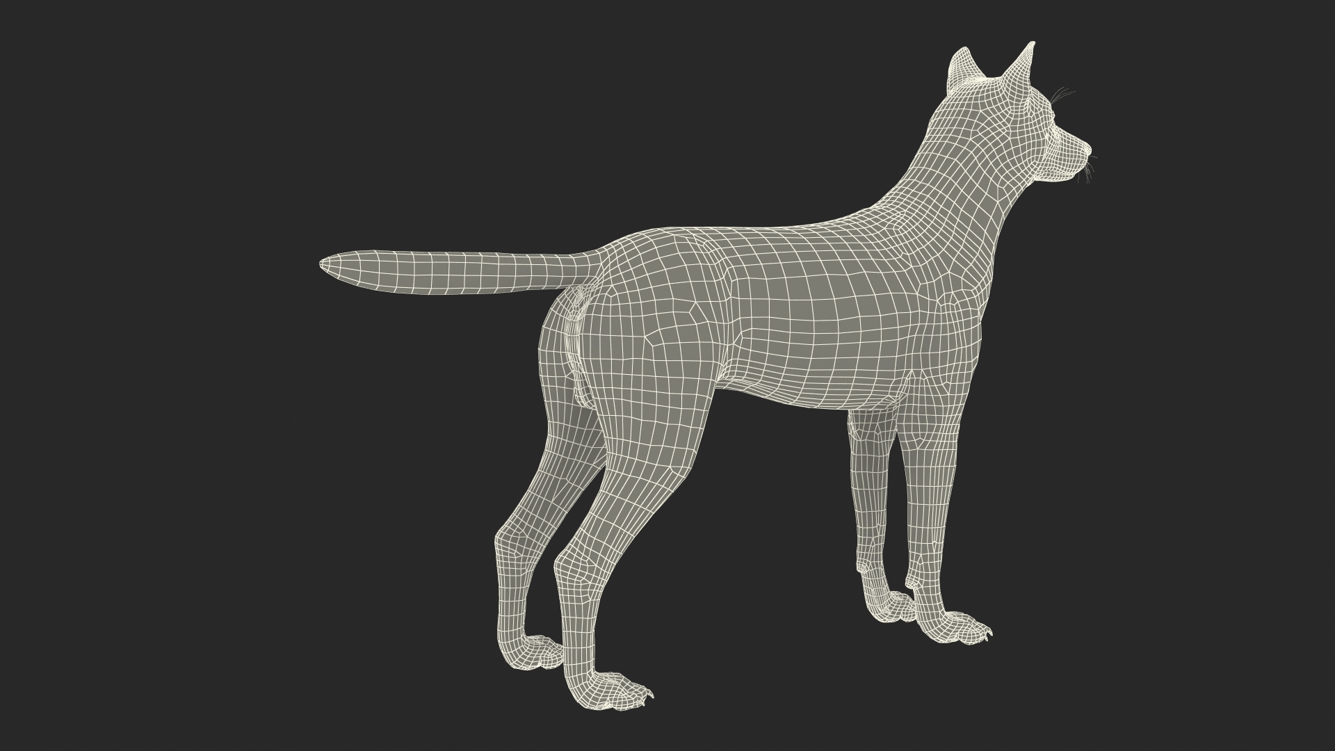 Canis Lupus Fur Rigged 3D