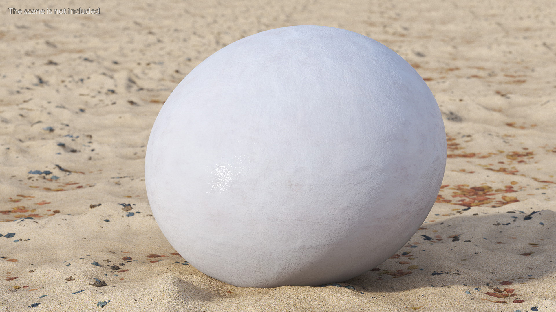 3D SeaTurtle Egg model