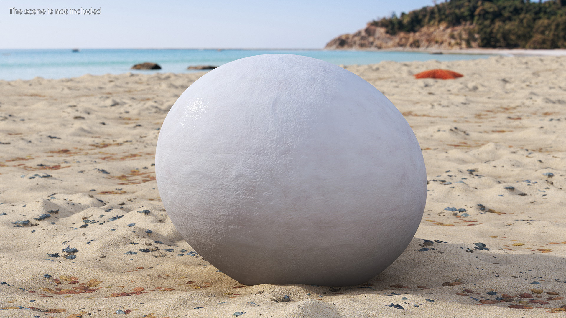 3D SeaTurtle Egg model