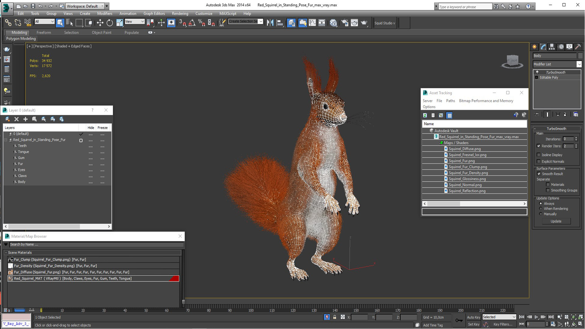 3D Red Squirrel in Standing Pose Fur model