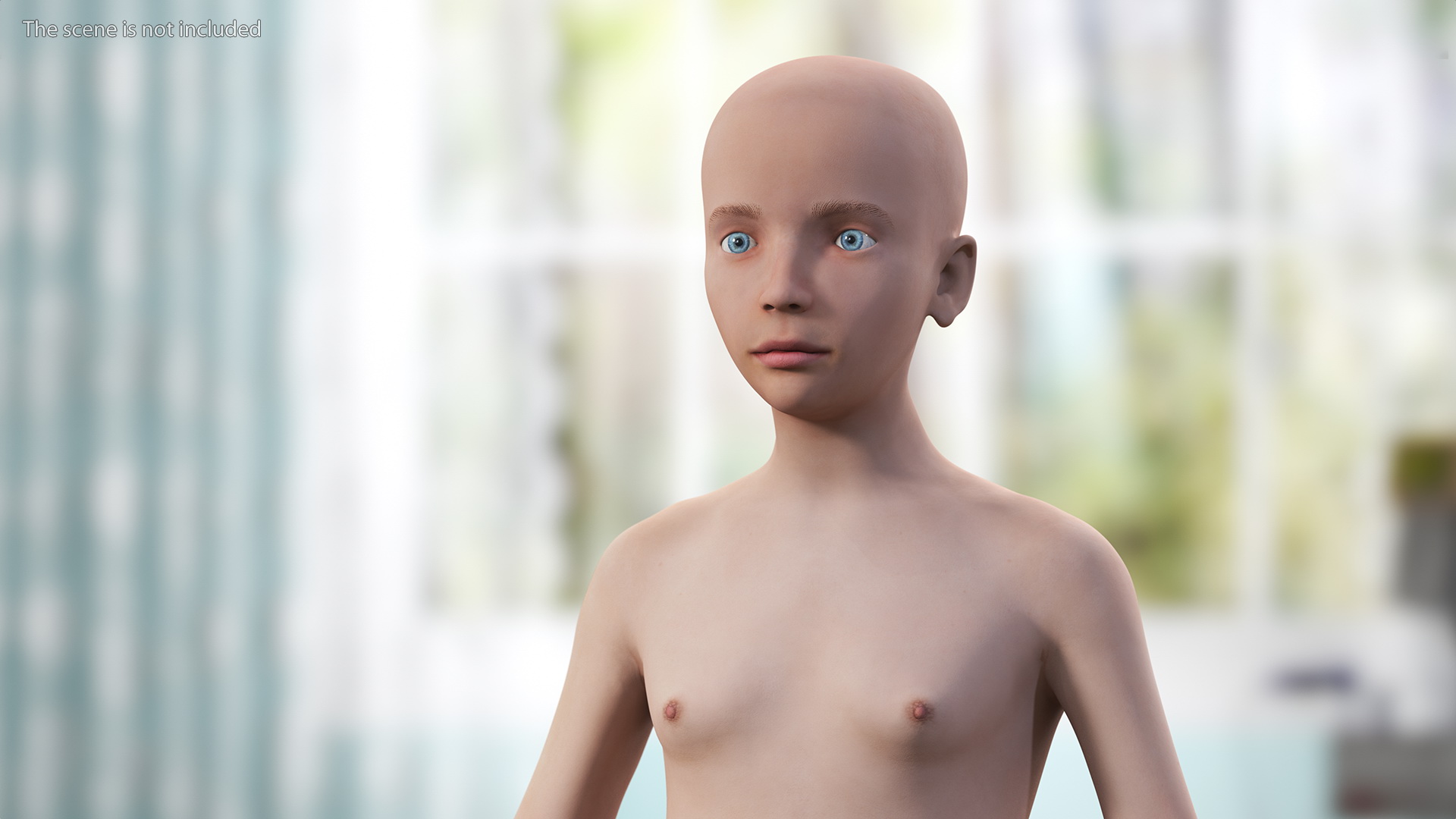 3D Full Body Kid Girl Anatomy