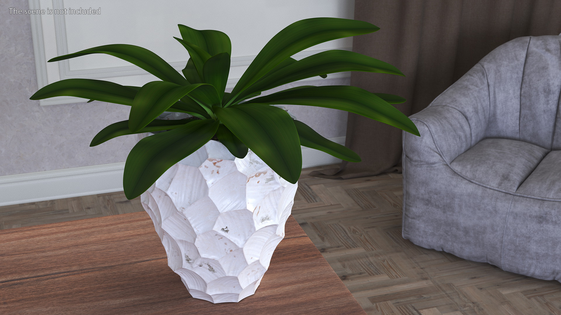 Cordyline Glauca in Modern Flower Pot 3D