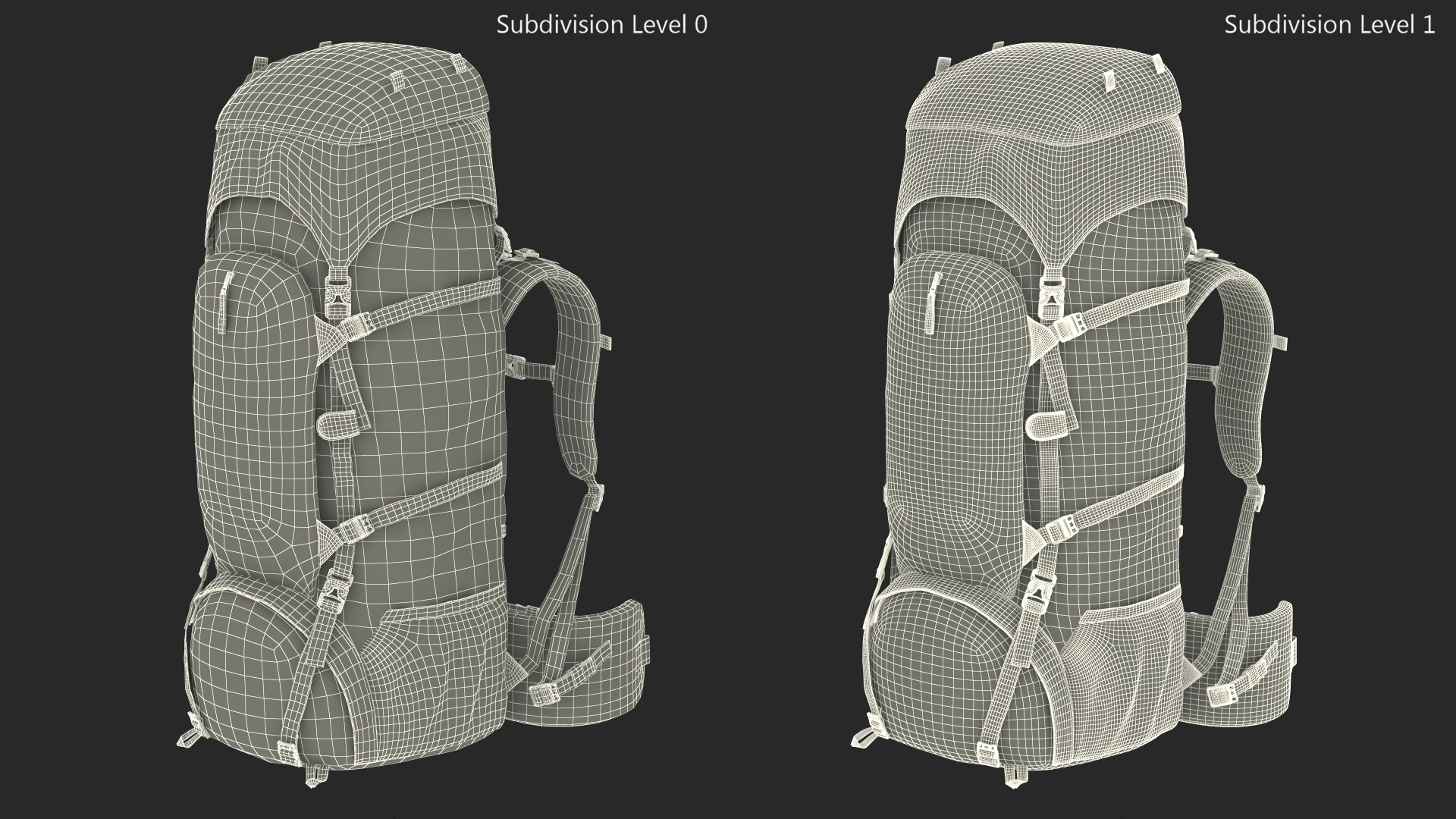 Hiking Backpack with Multiple Pockets 3D