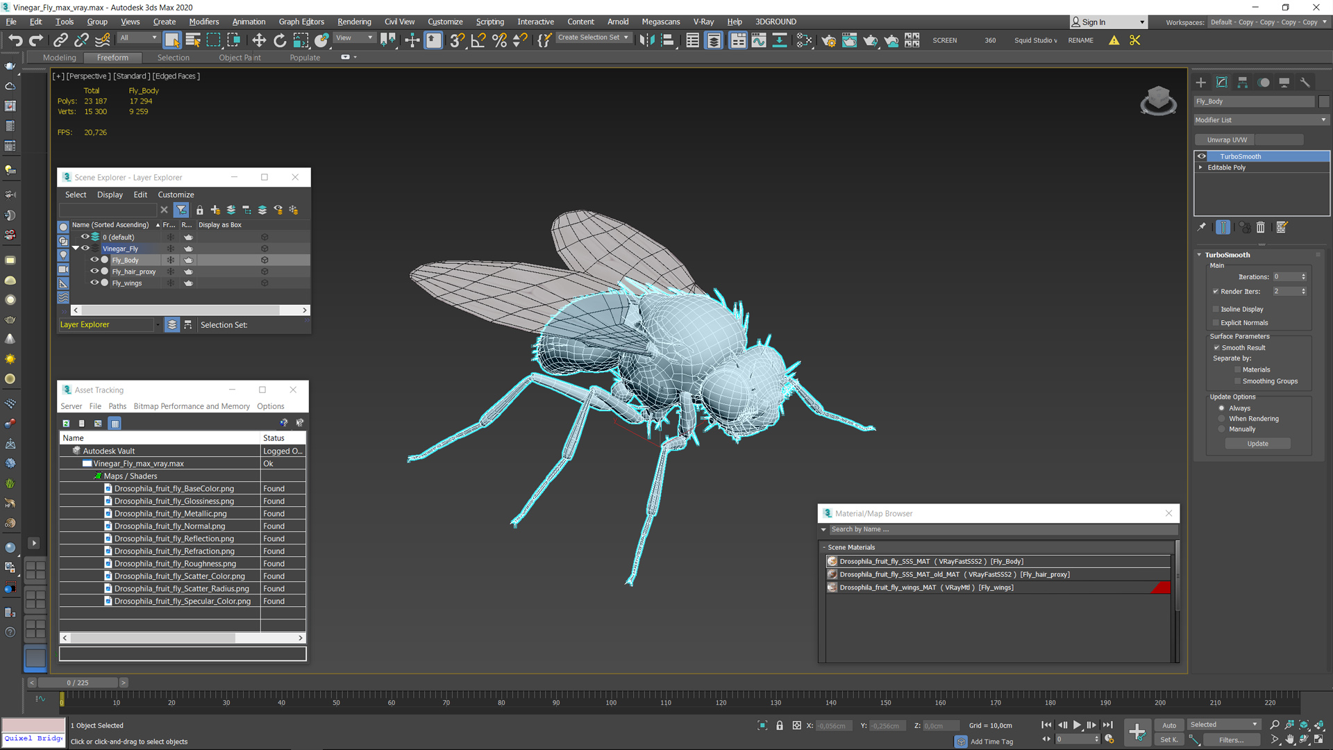 3D Drosophila Melanogaster Black Fur model