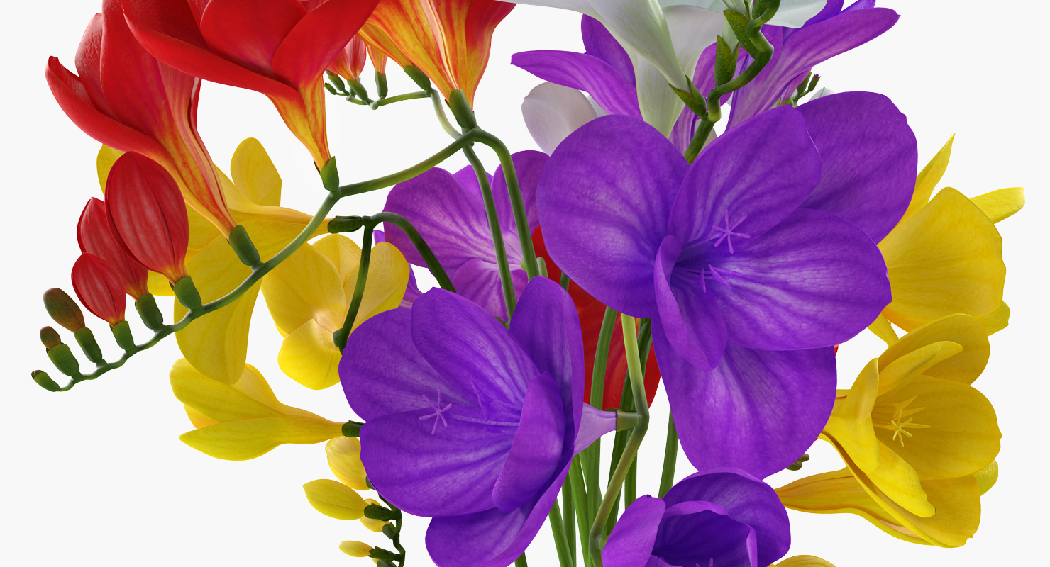 3D Freesia Flowers Bouquet in Vase