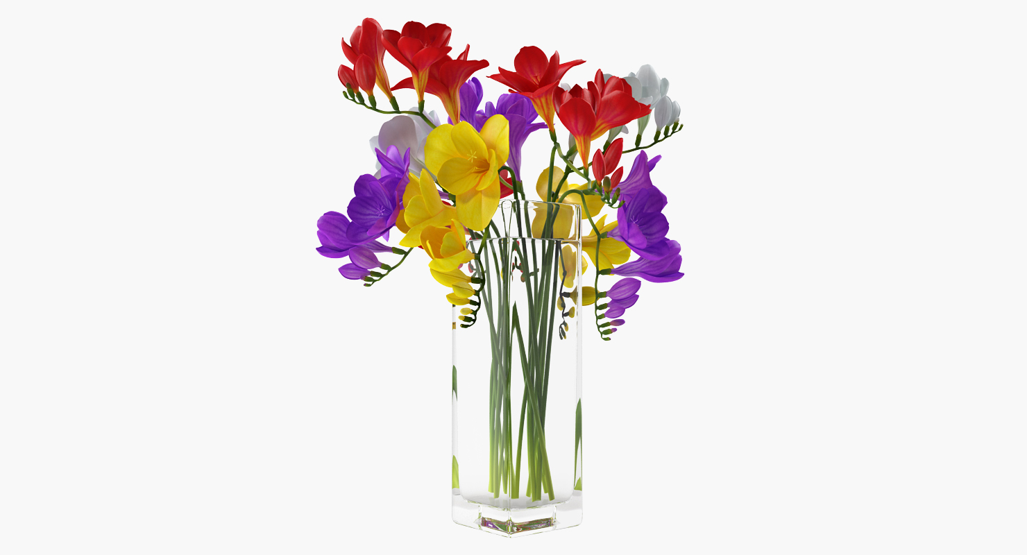 3D Freesia Flowers Bouquet in Vase