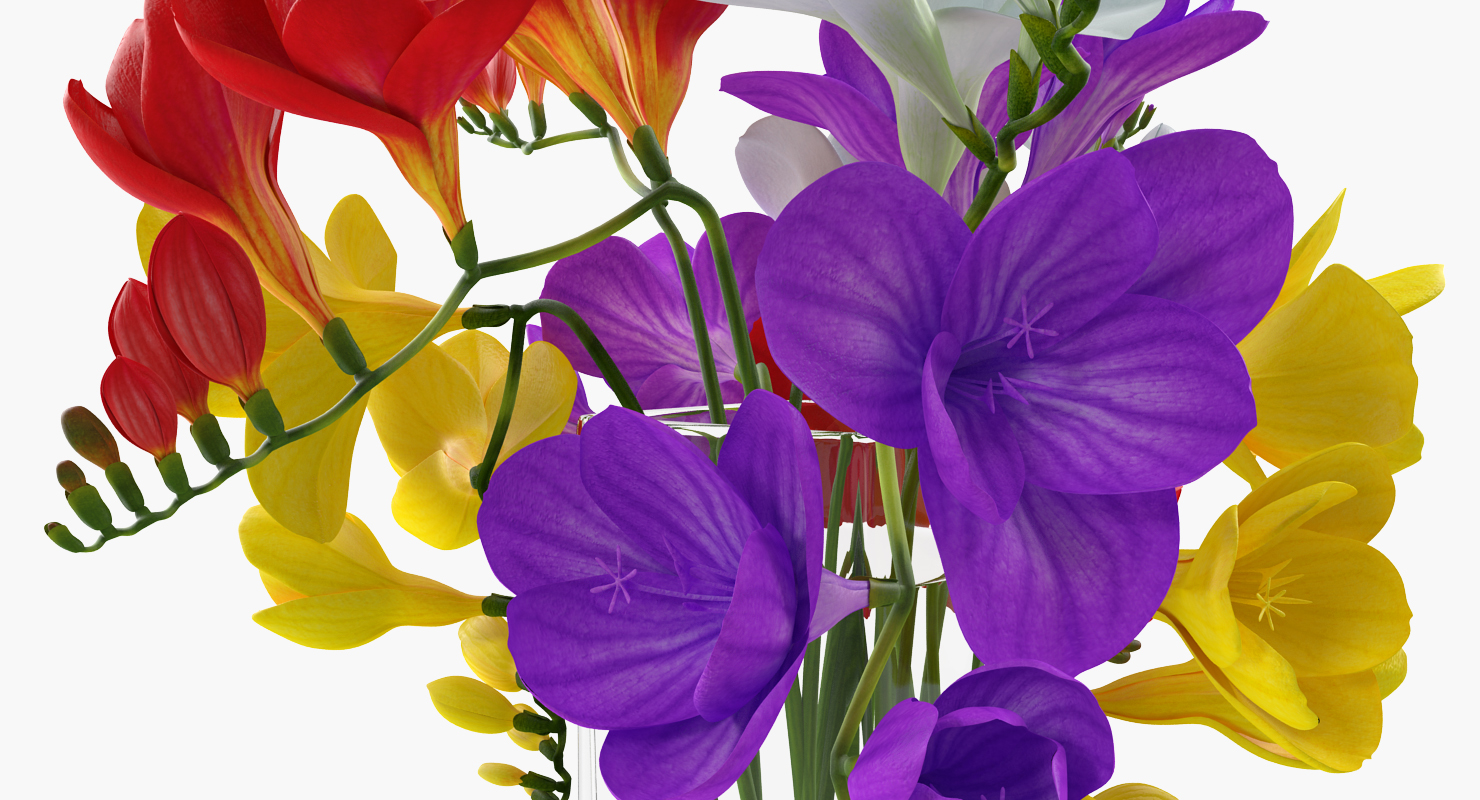 3D Freesia Flowers Bouquet in Vase