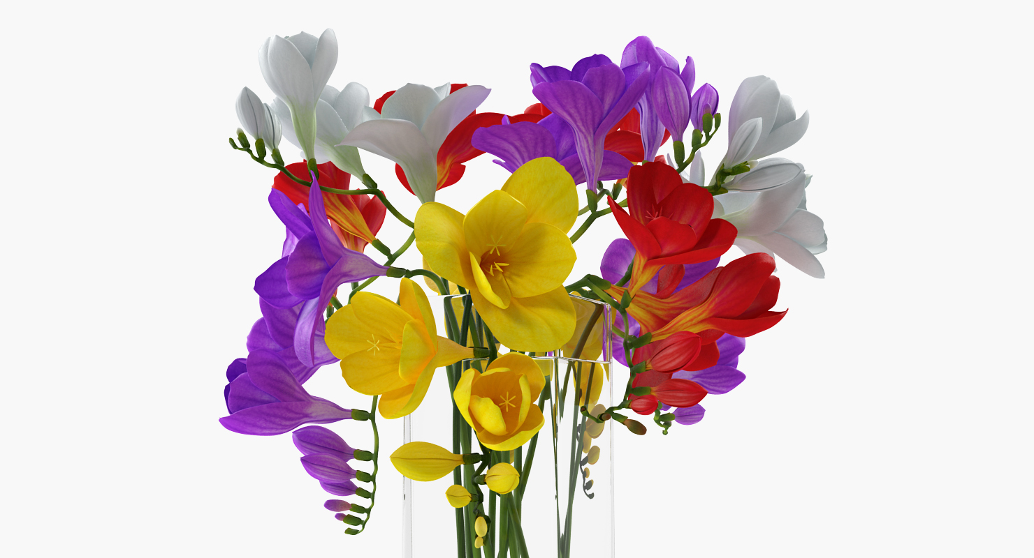 3D Freesia Flowers Bouquet in Vase