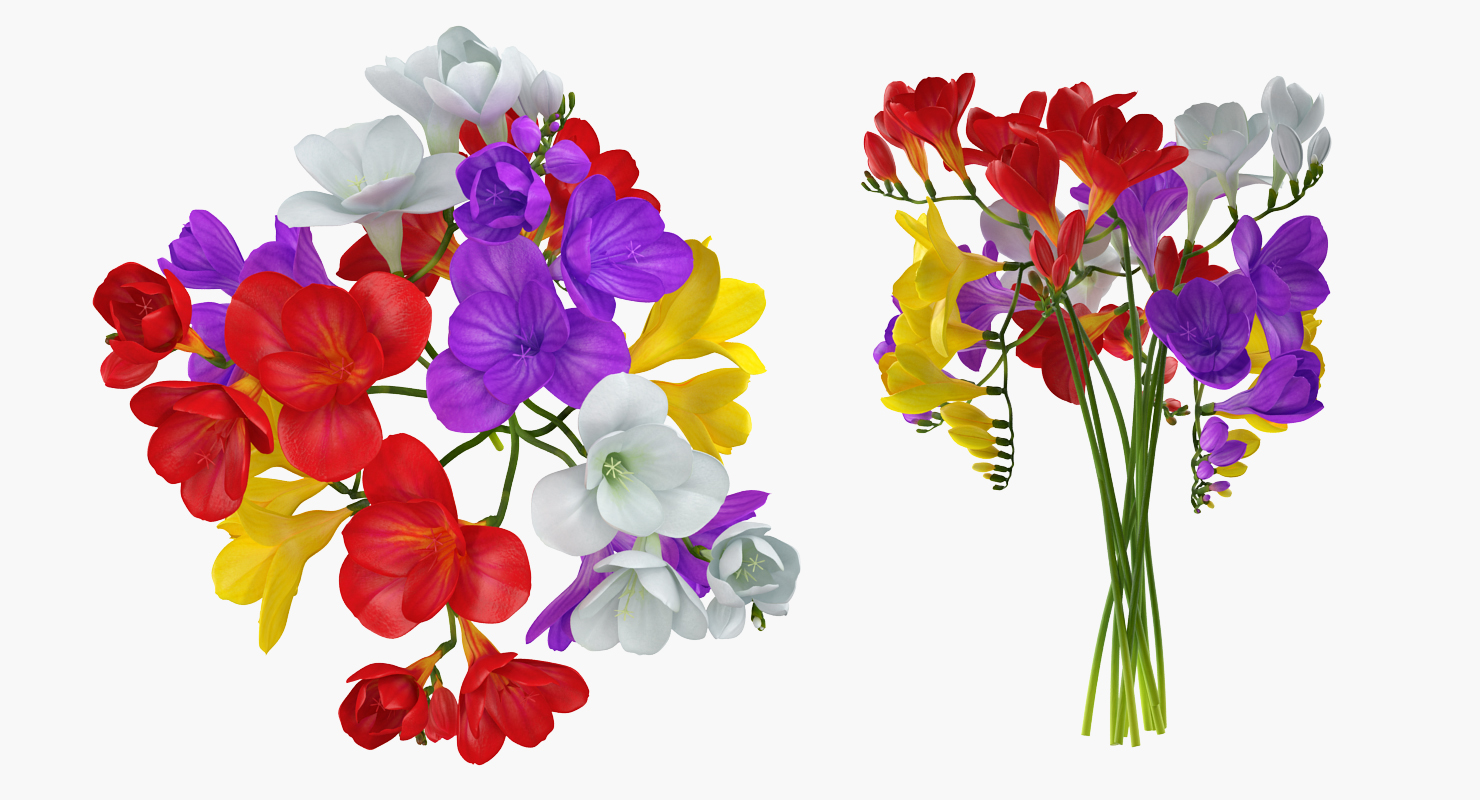 3D Freesia Flowers Bouquet in Vase