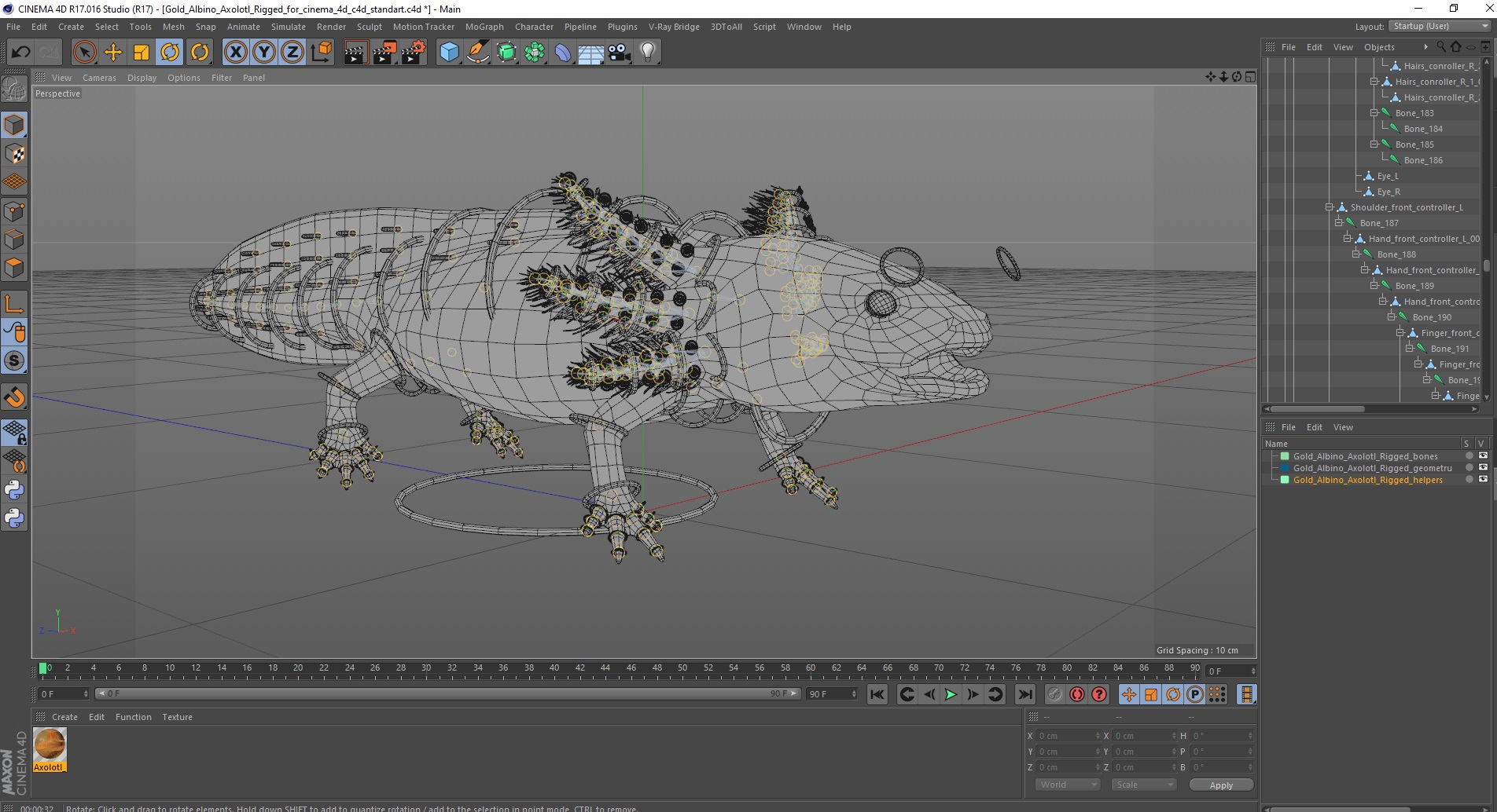 3D model Gold Albino Axolotl Rigged for Cinema 4D