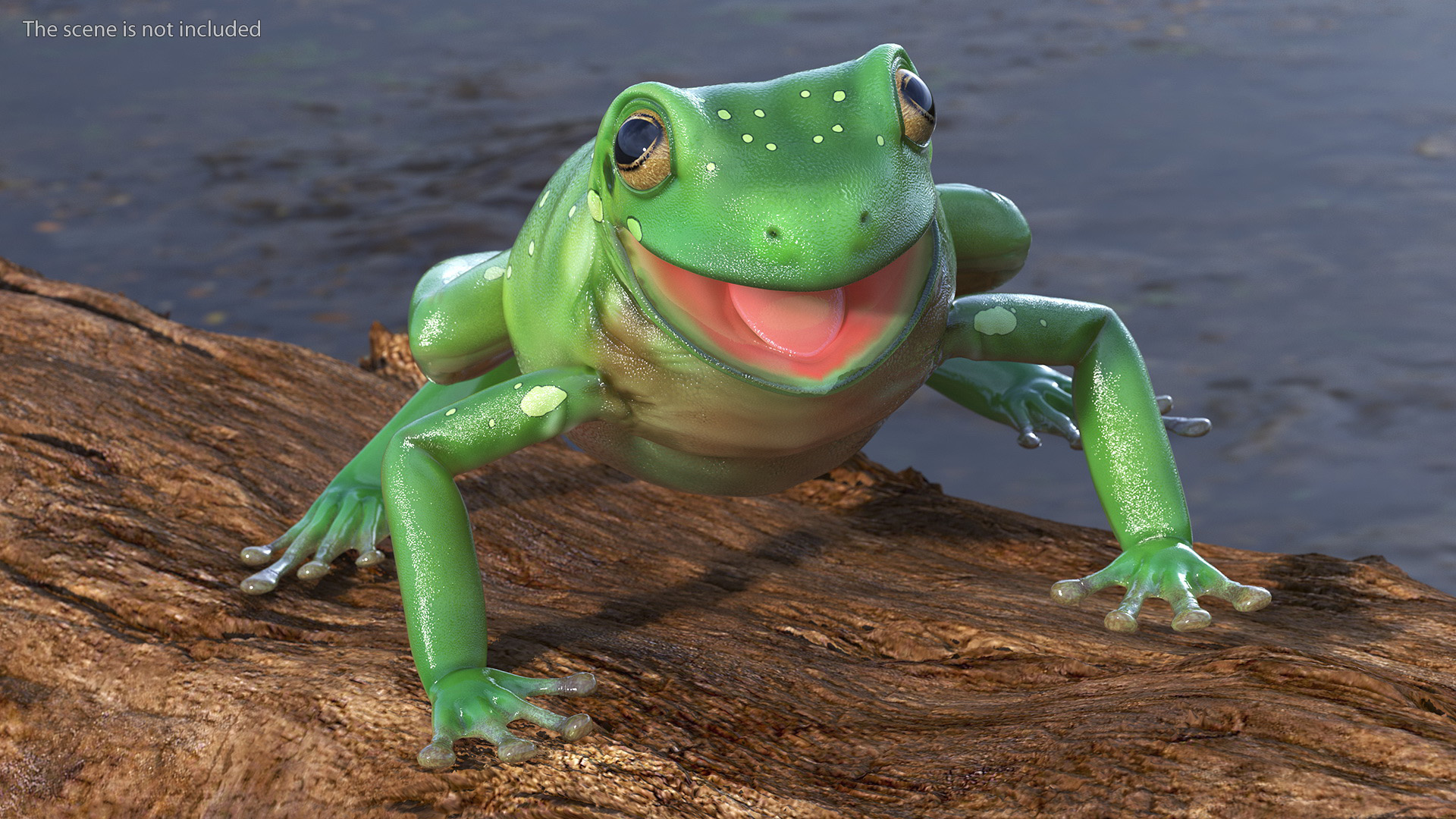 Realistic Tree Frog 3D model