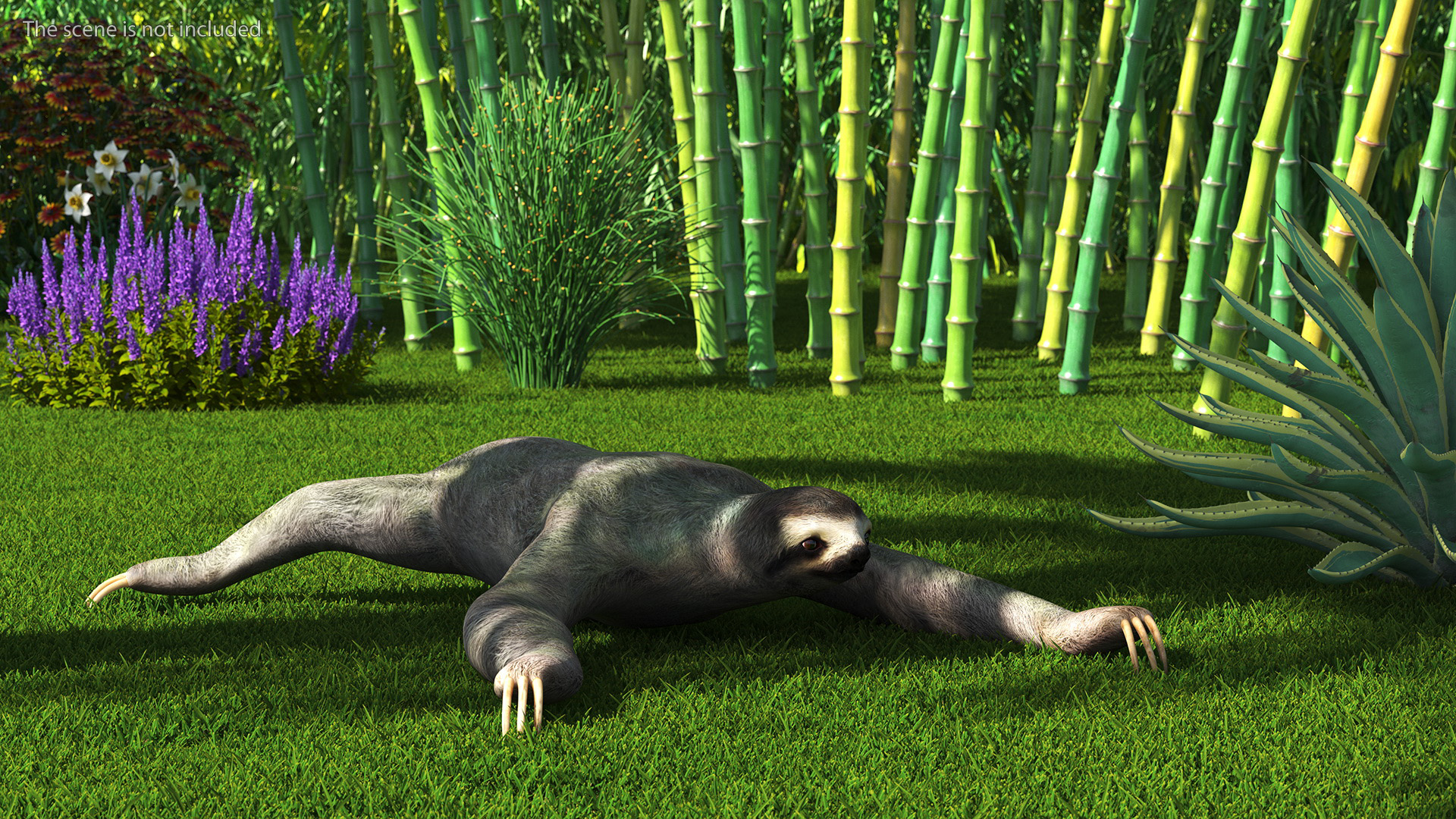 Sloth Crawls 3D