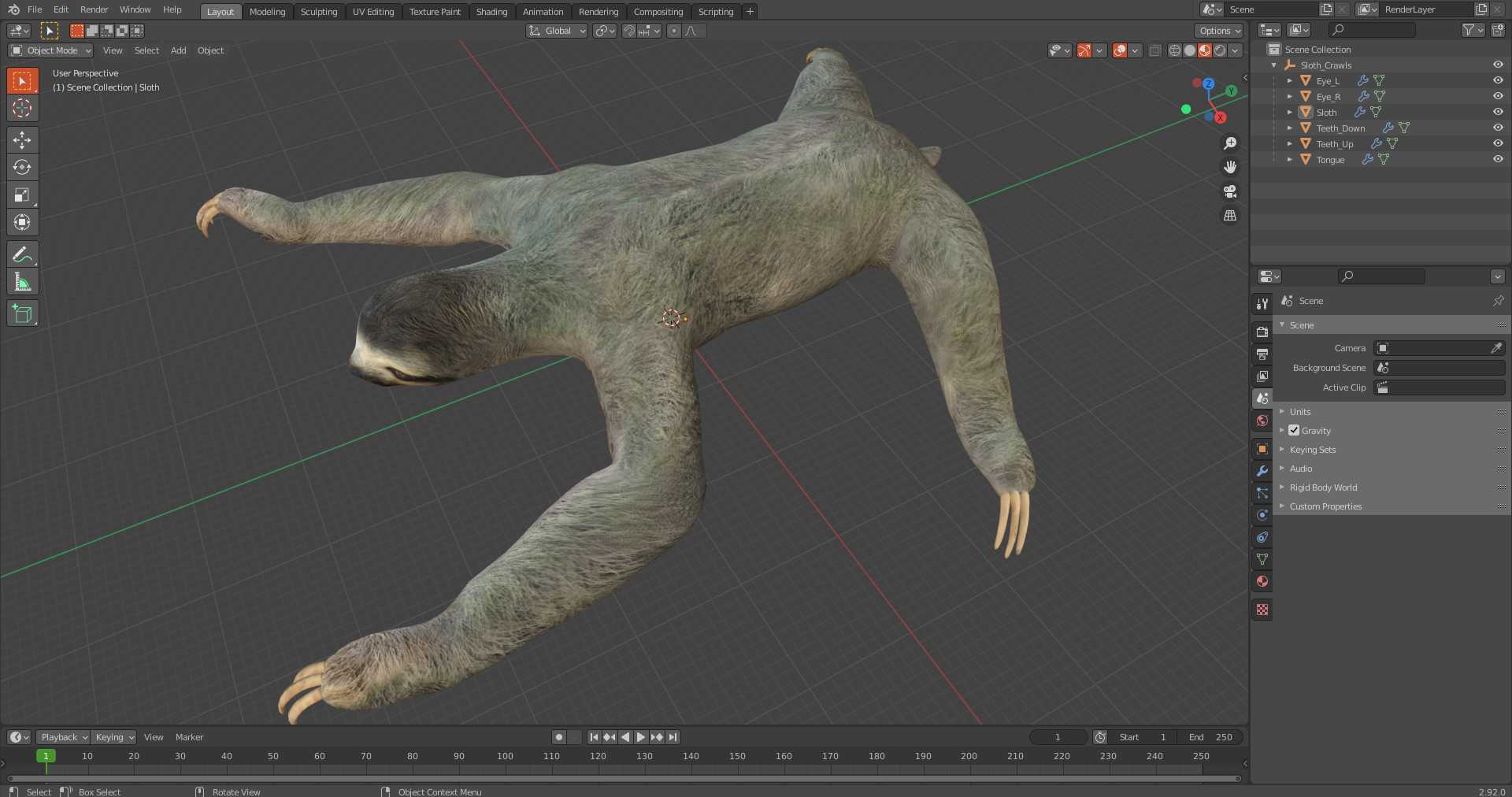 Sloth Crawls 3D