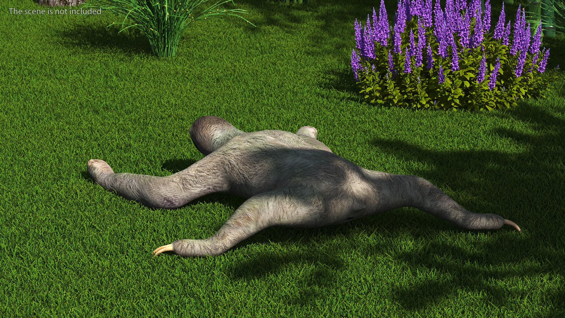 Sloth Crawls 3D