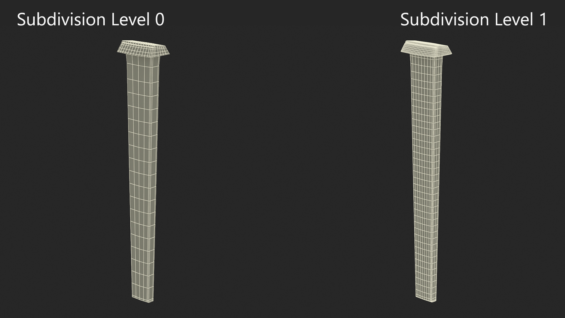 Flooring Nails 3D model