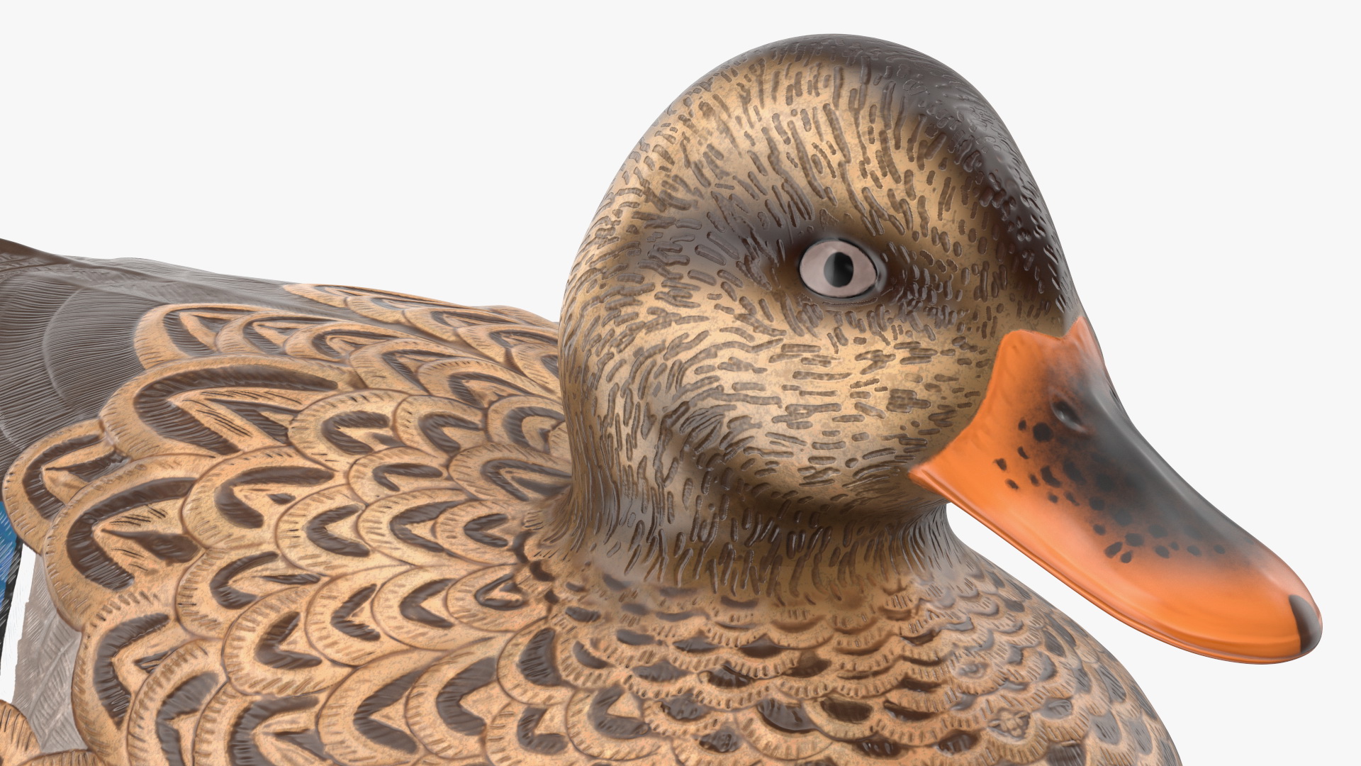 3D model Duck Decoy