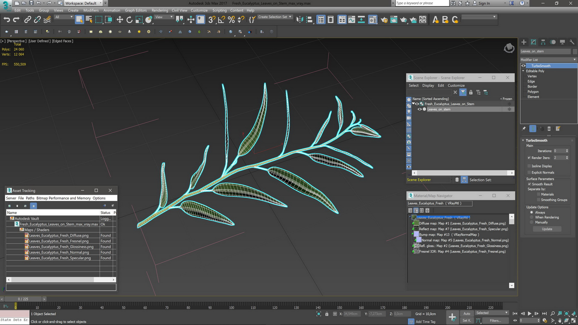 3D Fresh Eucalyptus Leaves on Stem