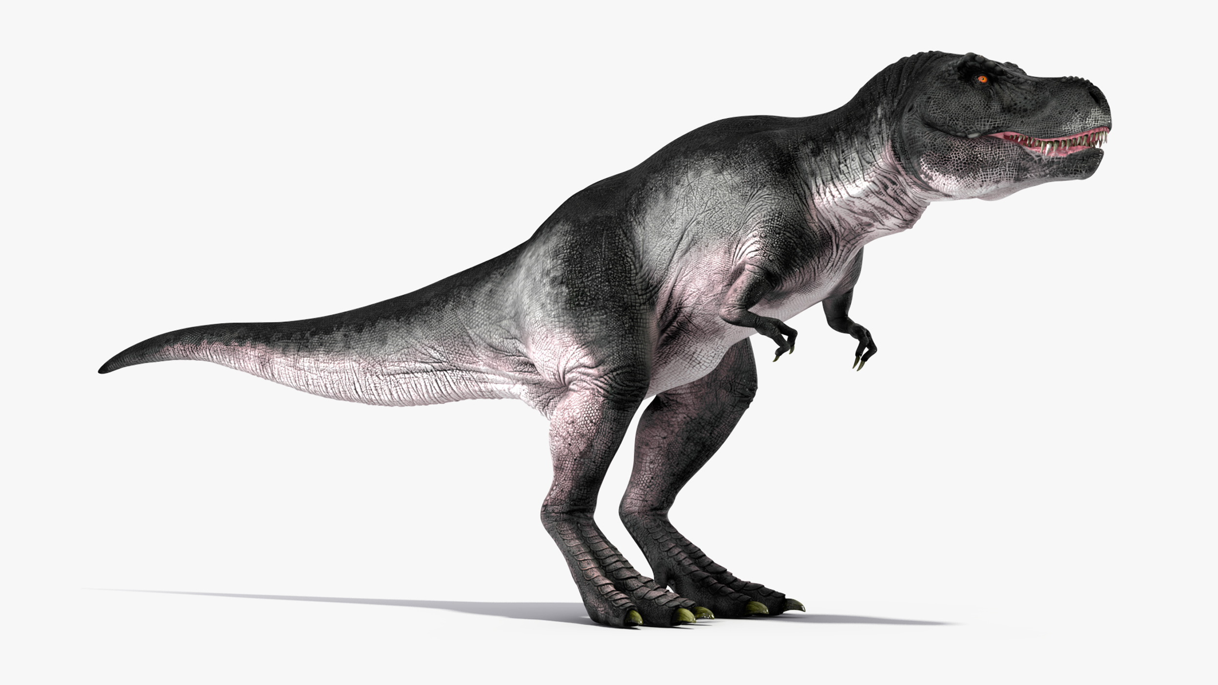 T Rex Eating Animated Rigged for Cinema 4D 3D