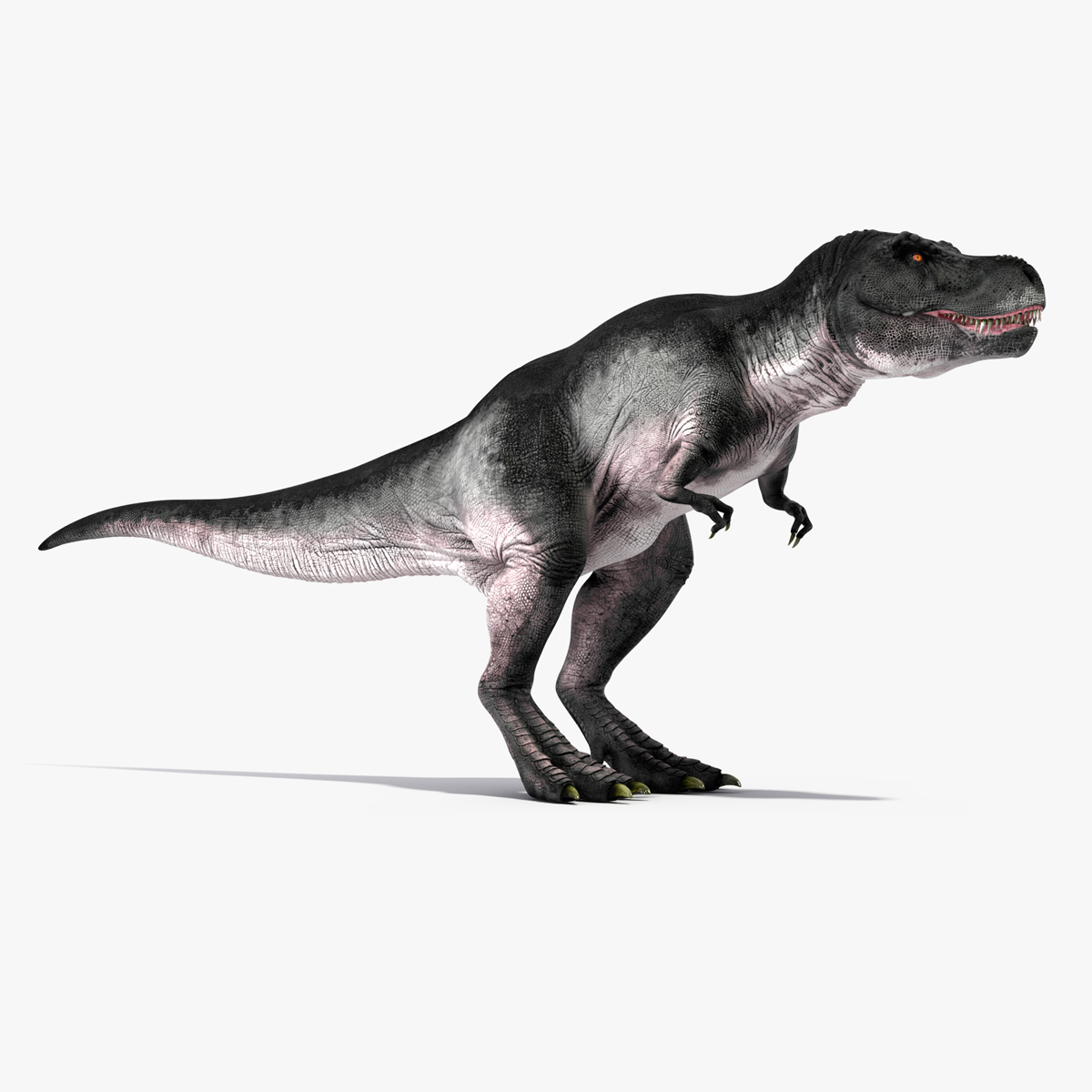 T Rex Eating Animated Rigged for Cinema 4D 3D