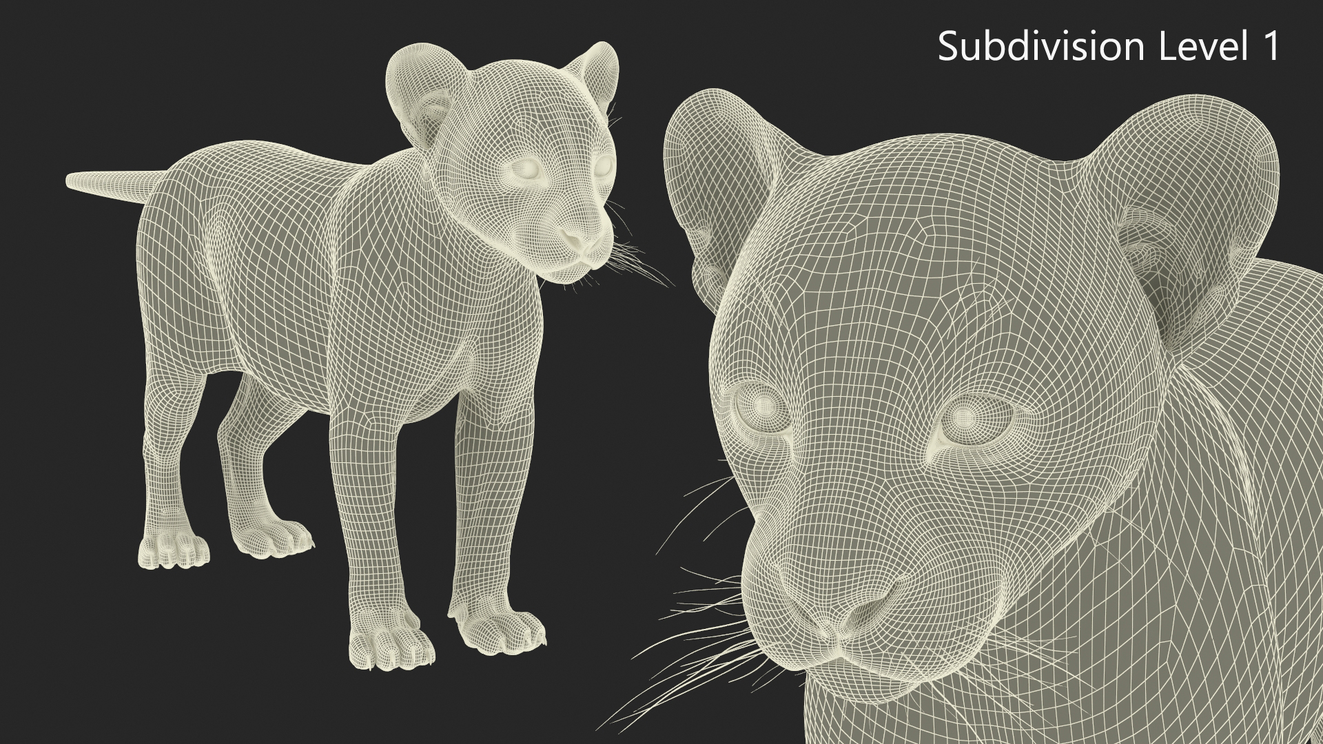 Black Leopard Cub Rigged 3D model