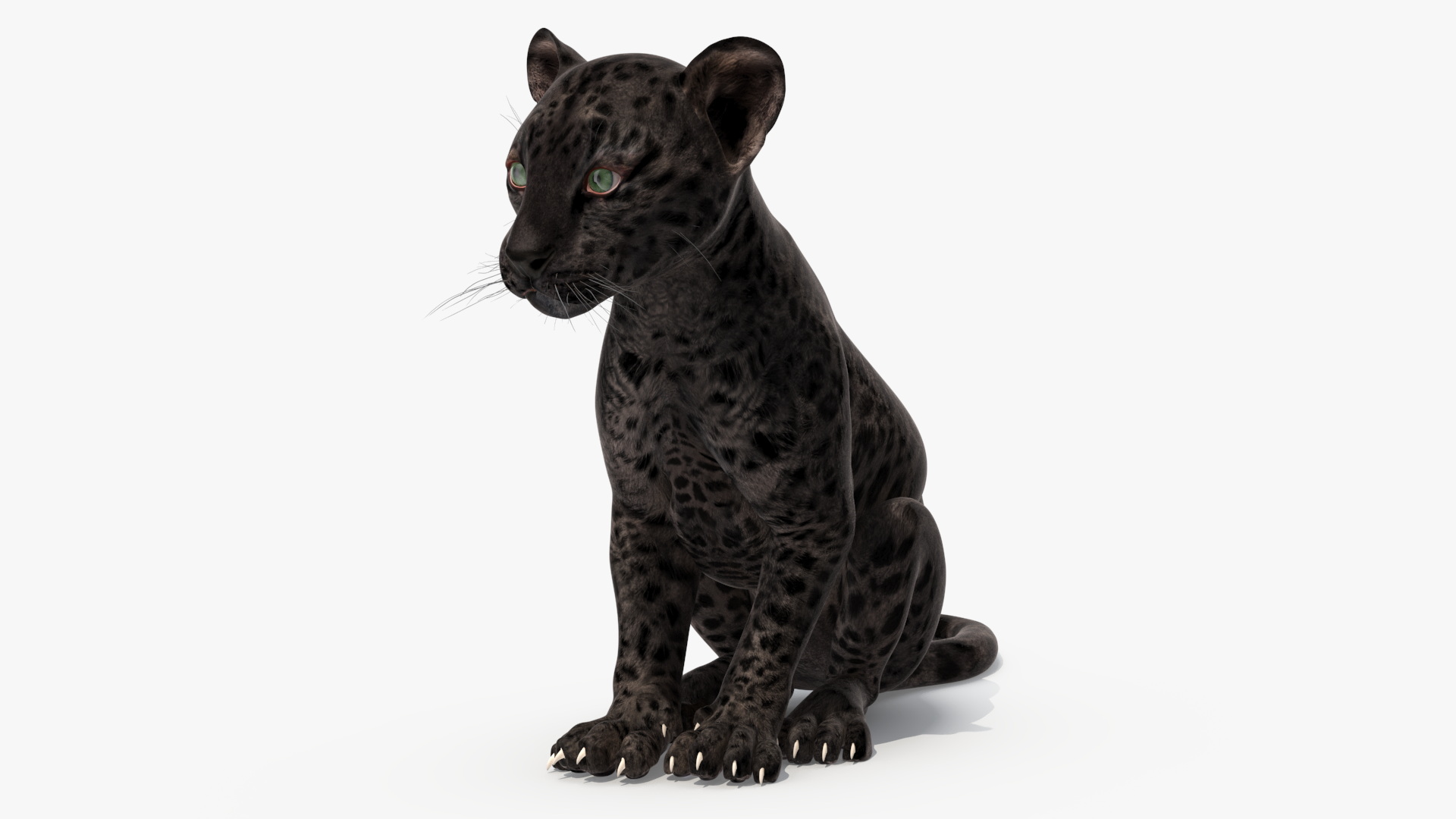 Black Leopard Cub Rigged 3D model