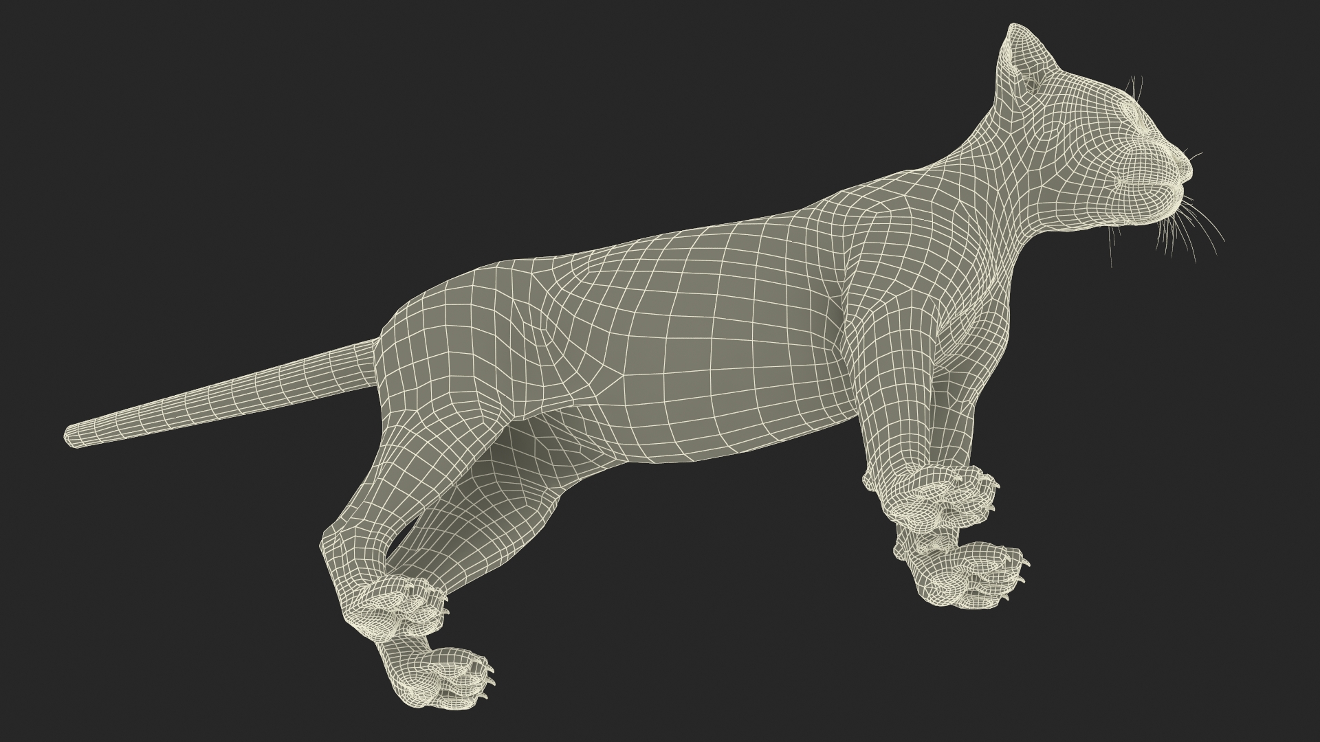 Black Leopard Cub Rigged 3D model