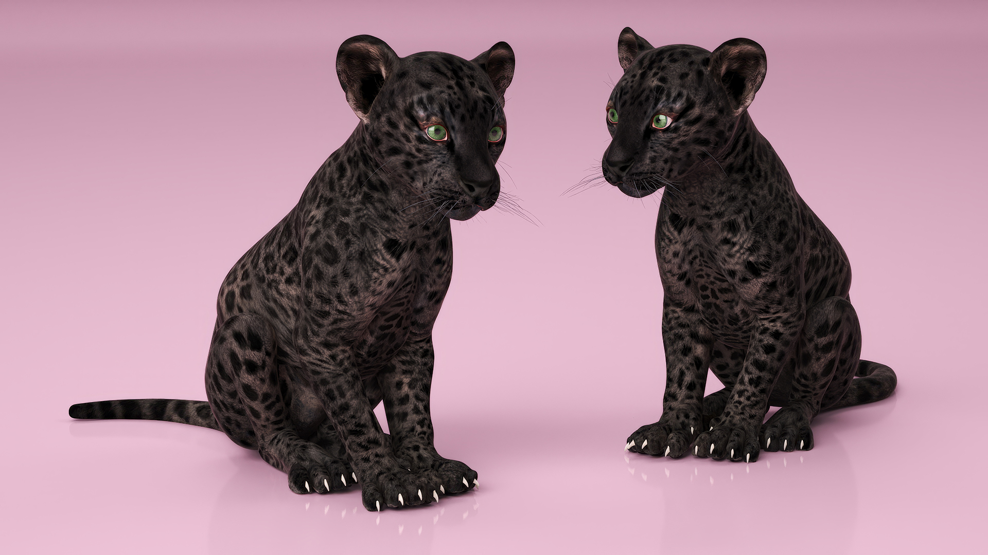 Black Leopard Cub Rigged 3D model