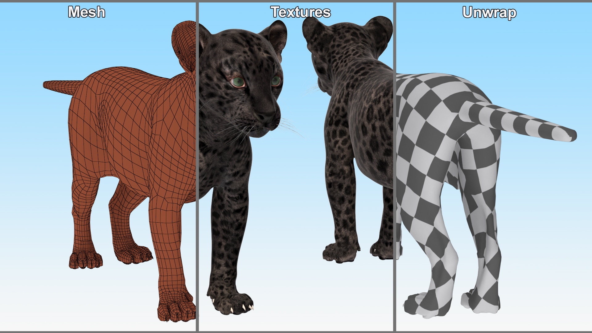 Black Leopard Cub Rigged 3D model