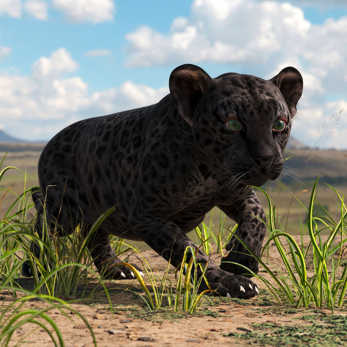 Black Leopard Cub Rigged 3D model