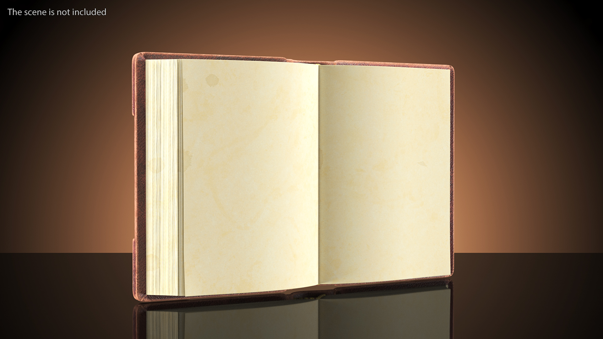 3D Old Brown Ornate Open Book